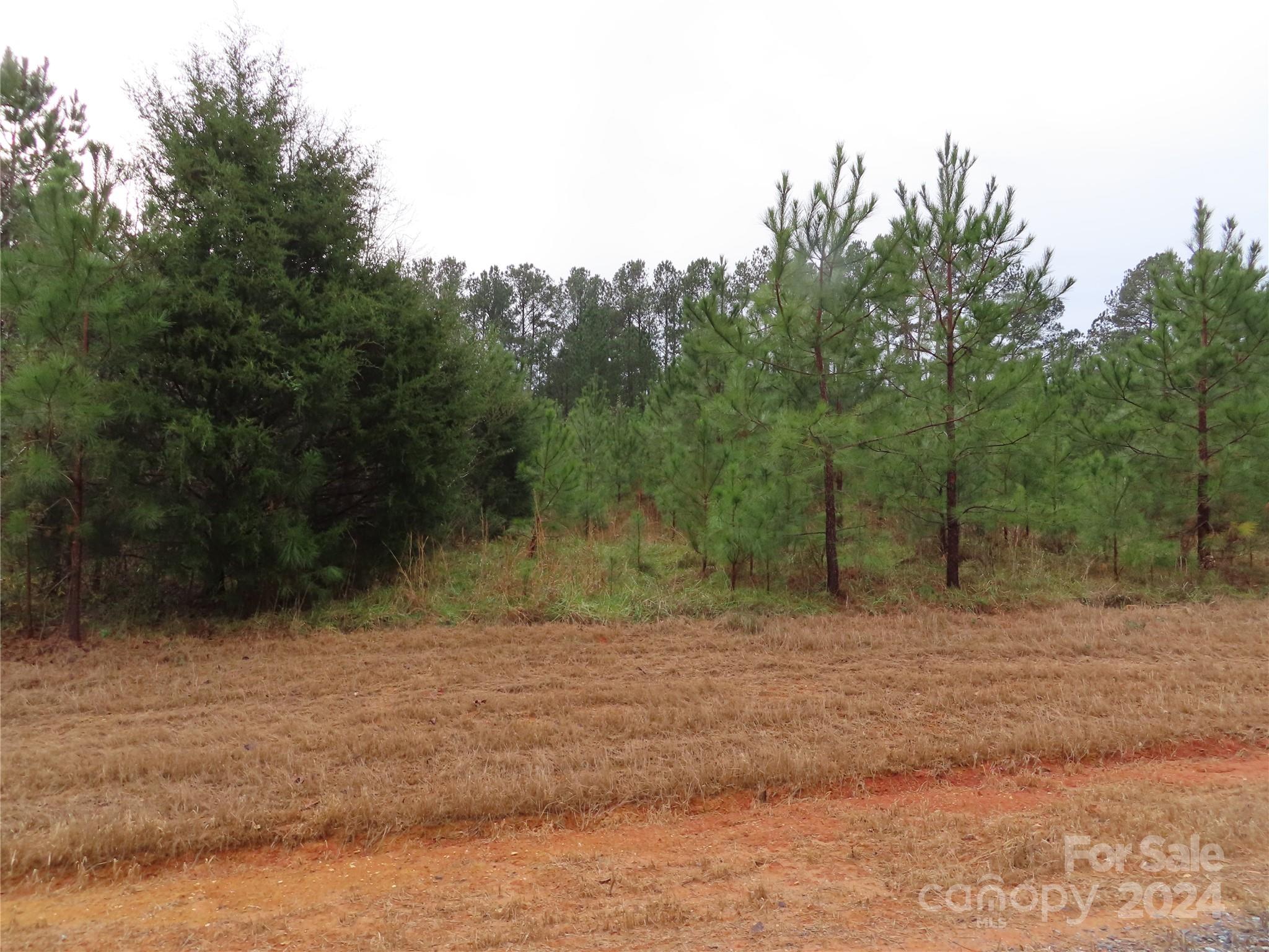 0 Chambers Road, Unit D York, SC 29745 - Photo 4 of 4 Gallery Image 4