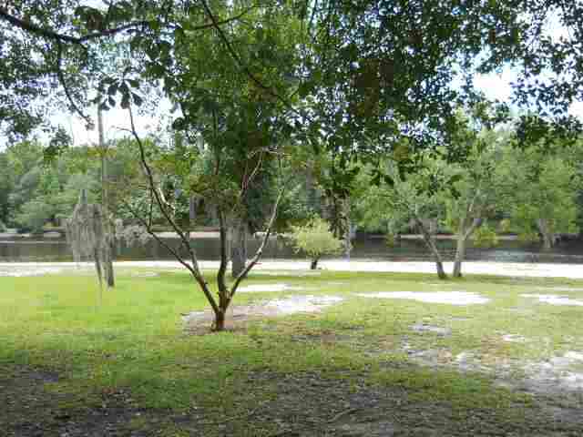 1294 State Rd S-34-319 Mullins, SC 29574 - Photo 4 of 15 Gallery Image 4