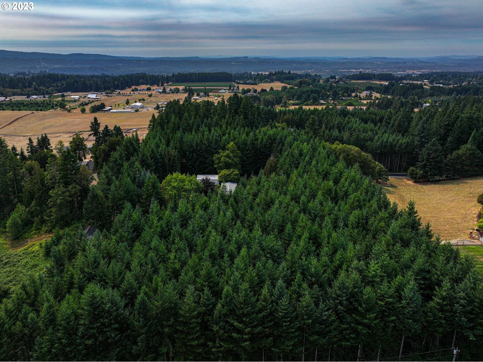 36393 Southeast Tracy Road Estacada, OR 97023 - Photo 46 of 48 Gallery Image 46