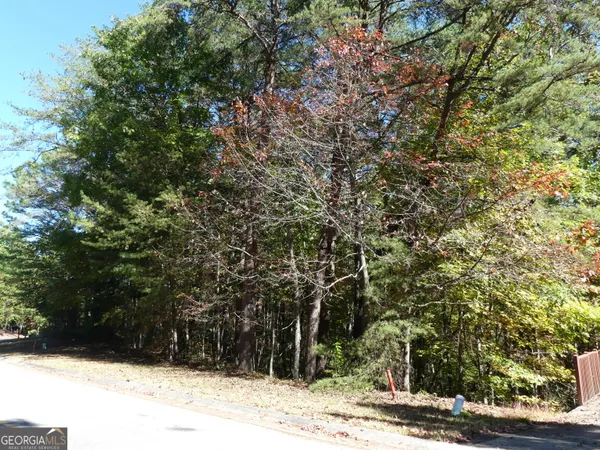 $29,900 | 0 Zeppelin Strasse, Unit LOT 78, Helen, GA 30545