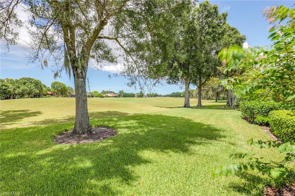 6769 Bent Grass Drive Naples, FL 34113 - Photo 26 of 32 a view of yard with tree