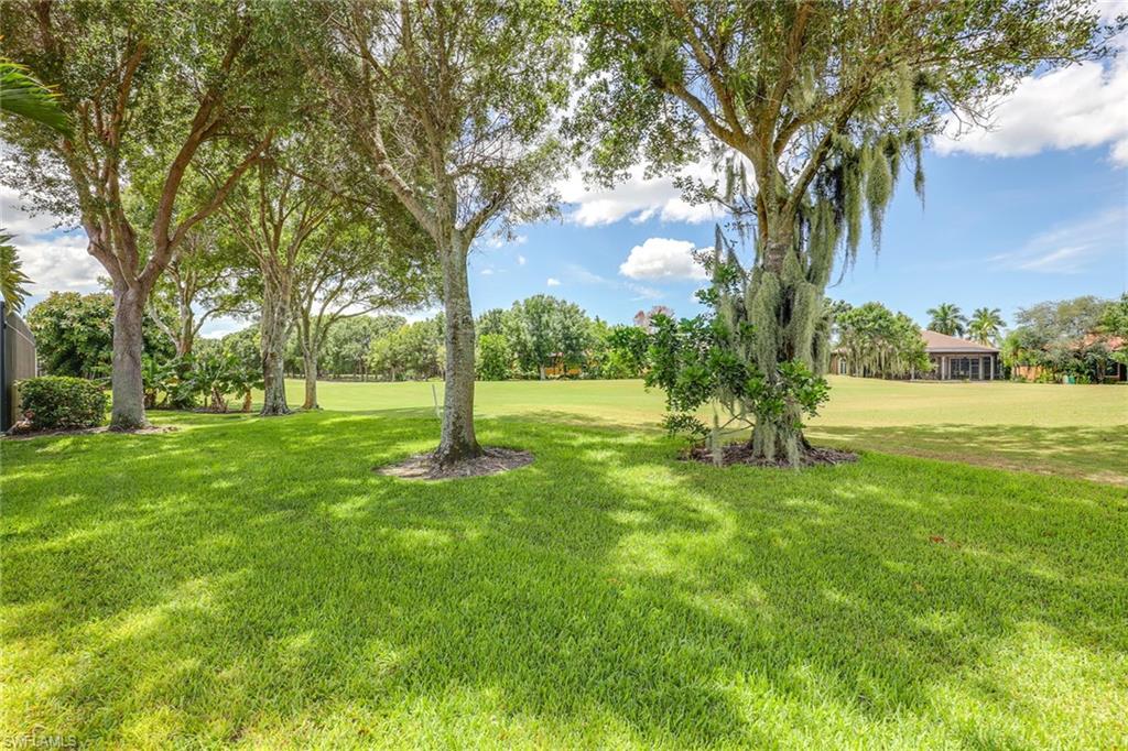 6769 Bent Grass Drive Naples, FL 34113 - Photo 27 of 32 a view of yard with trees