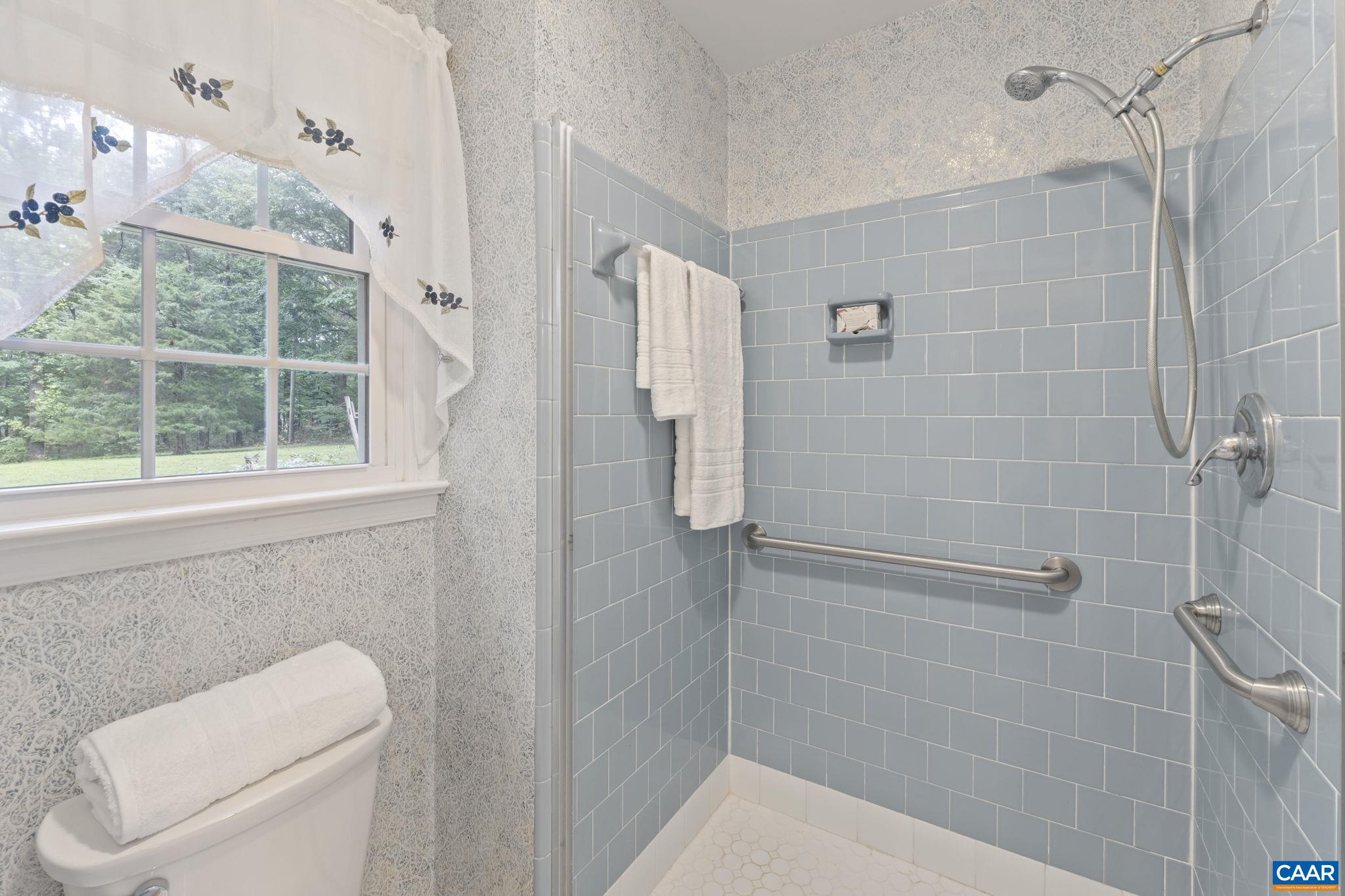 1211 Lanetown Road Crozet, VA 22932 - Photo 35 of 50 a bathroom with a toilet and shower