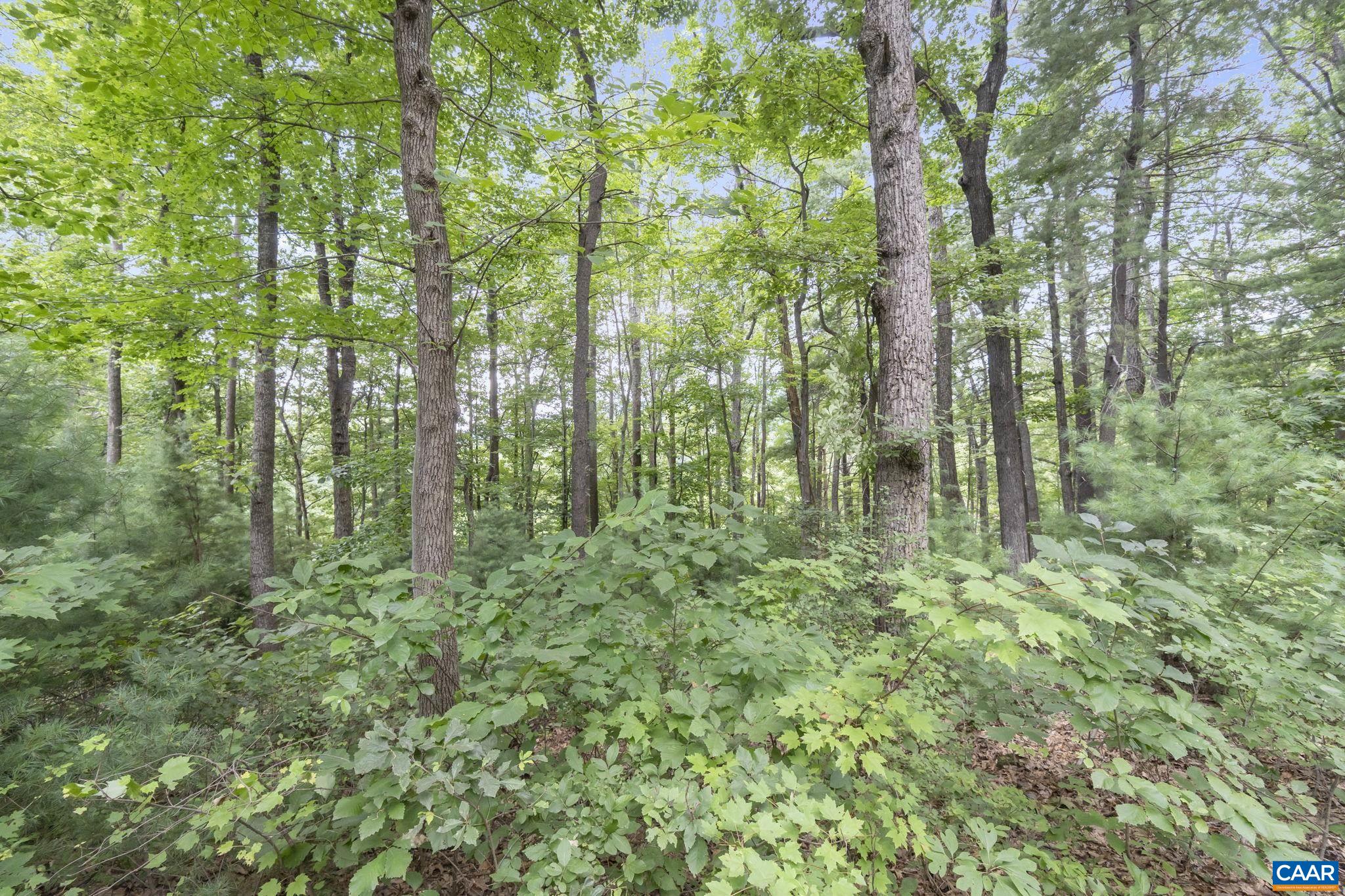 1211 Lanetown Road Crozet, VA 22932 - Photo 44 of 50 a view of outdoor space and green space