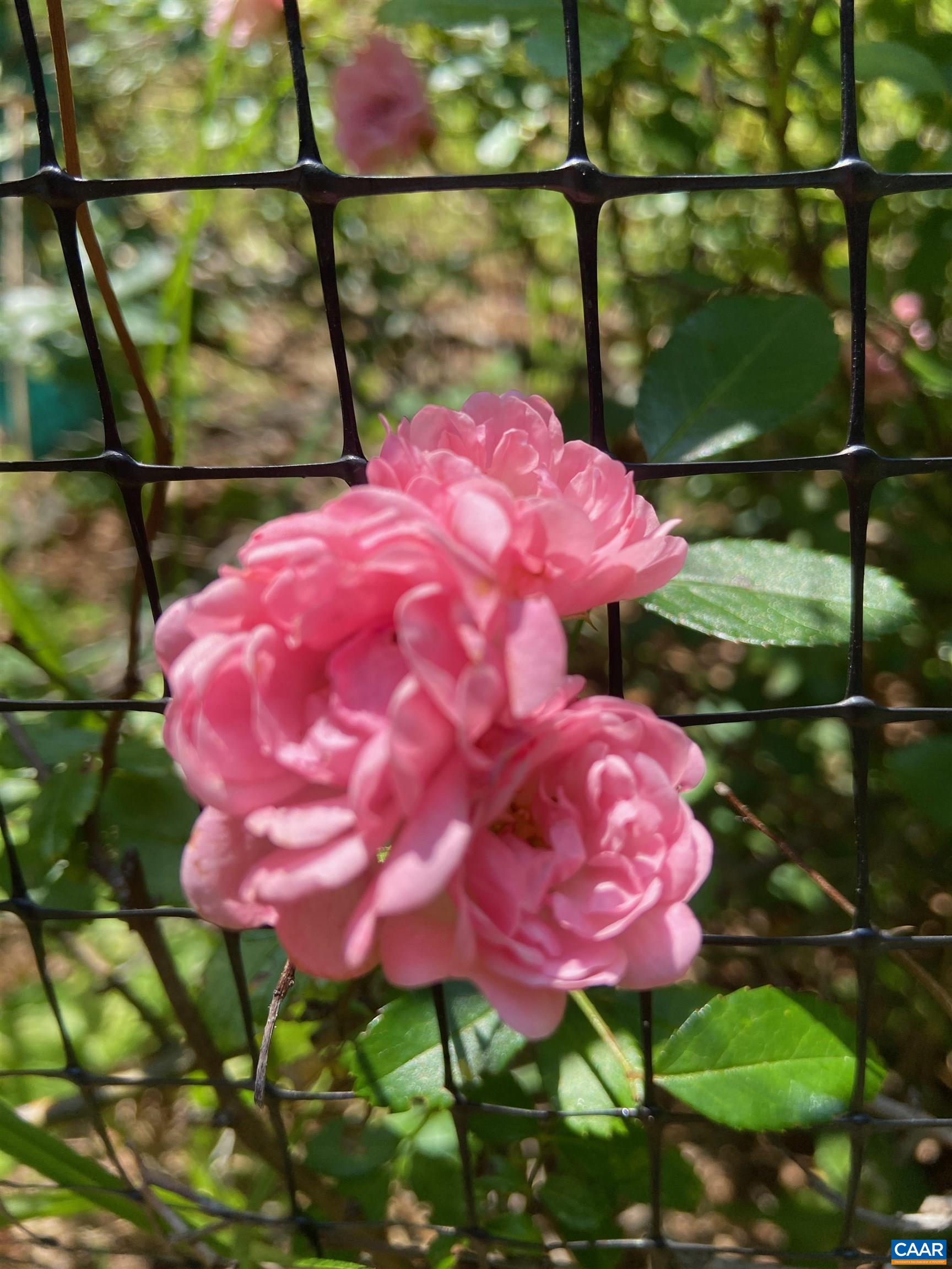 1211 Lanetown Road Crozet, VA 22932 - Photo 49 of 50