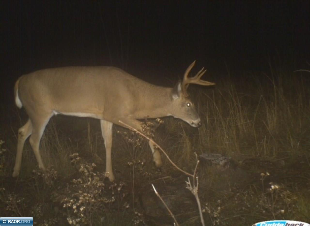Tbd Mud Hole Road Side Lake, MN 55781 - Photo 18 of 24