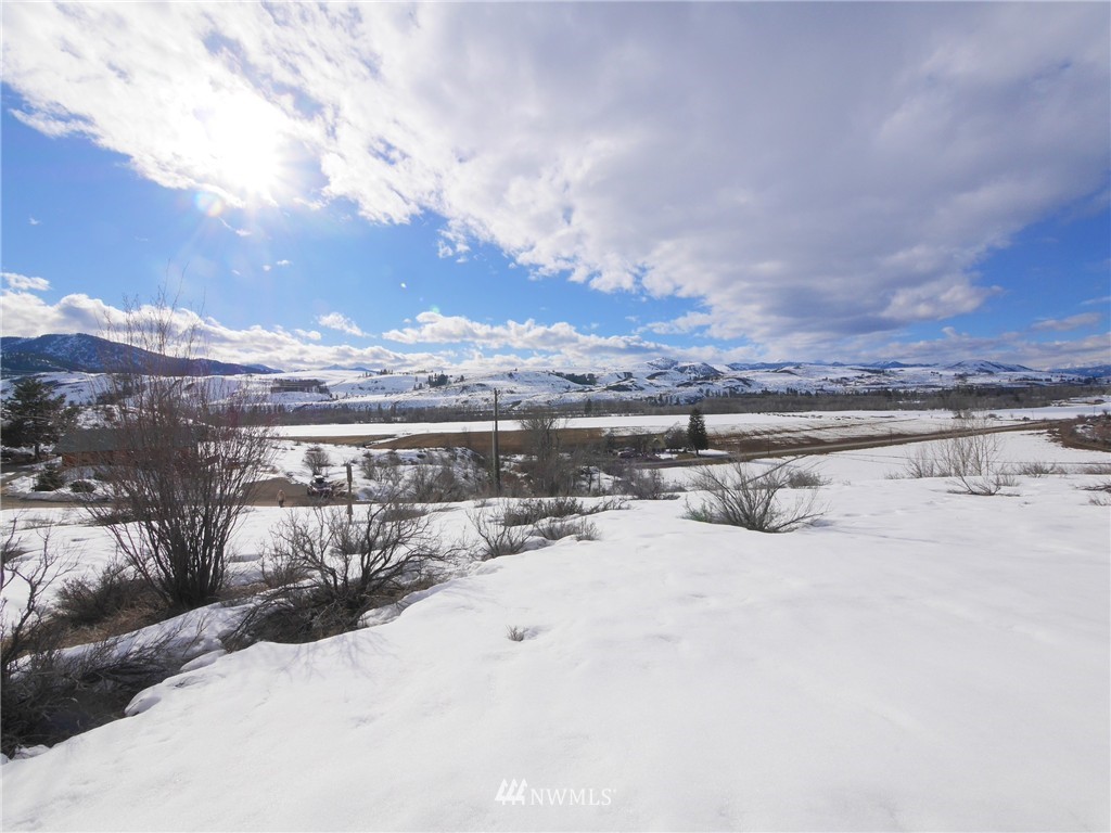 31 Homestead Hills Road Twisp, WA 98856 - Photo 12 of 25 Gallery Image 12