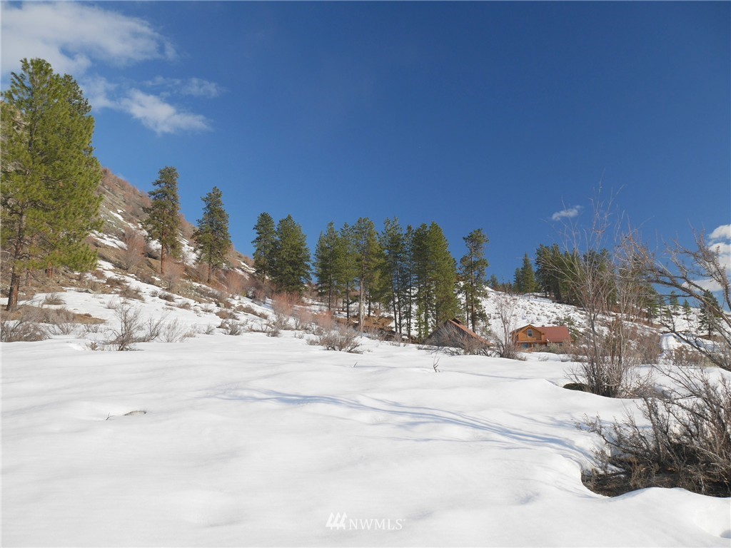 31 Homestead Hills Road Twisp, WA 98856 - Photo 13 of 25 Gallery Image 13