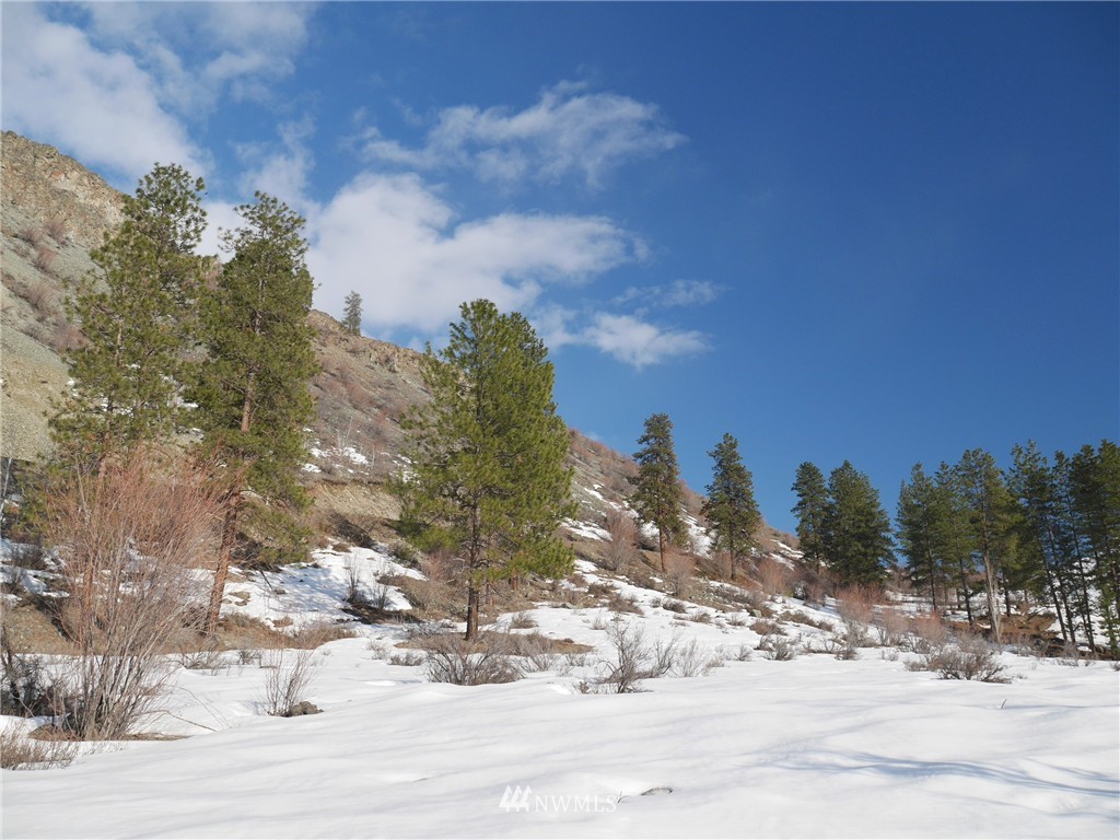 31 Homestead Hills Road Twisp, WA 98856 - Photo 14 of 25 Gallery Image 14