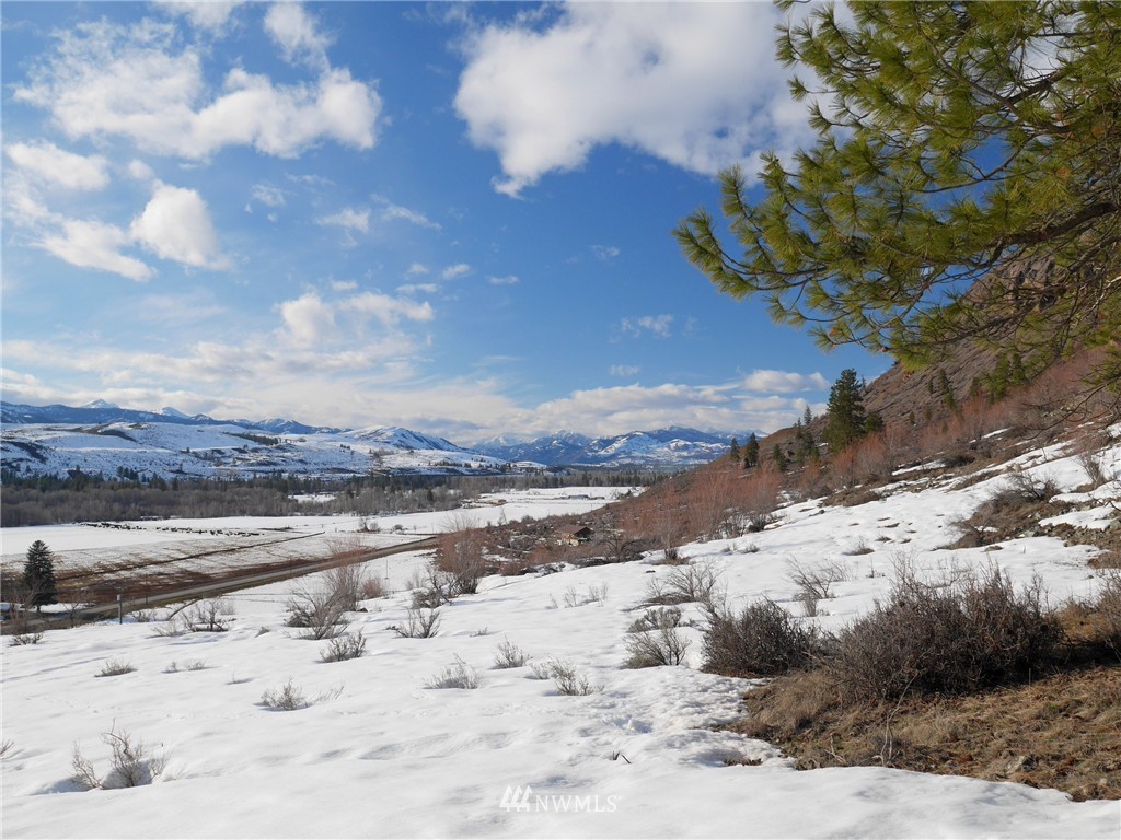 31 Homestead Hills Road Twisp, WA 98856 - Photo 15 of 25 Gallery Image 15