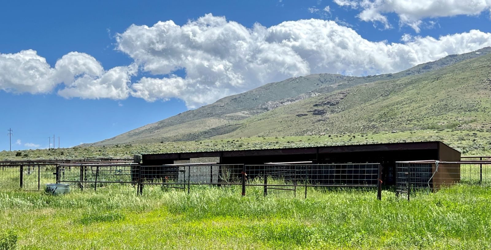 4513 Starr Valley Road Deeth, NV 89823 - Photo 41 of 49 a backyard of a house with lots of green space
