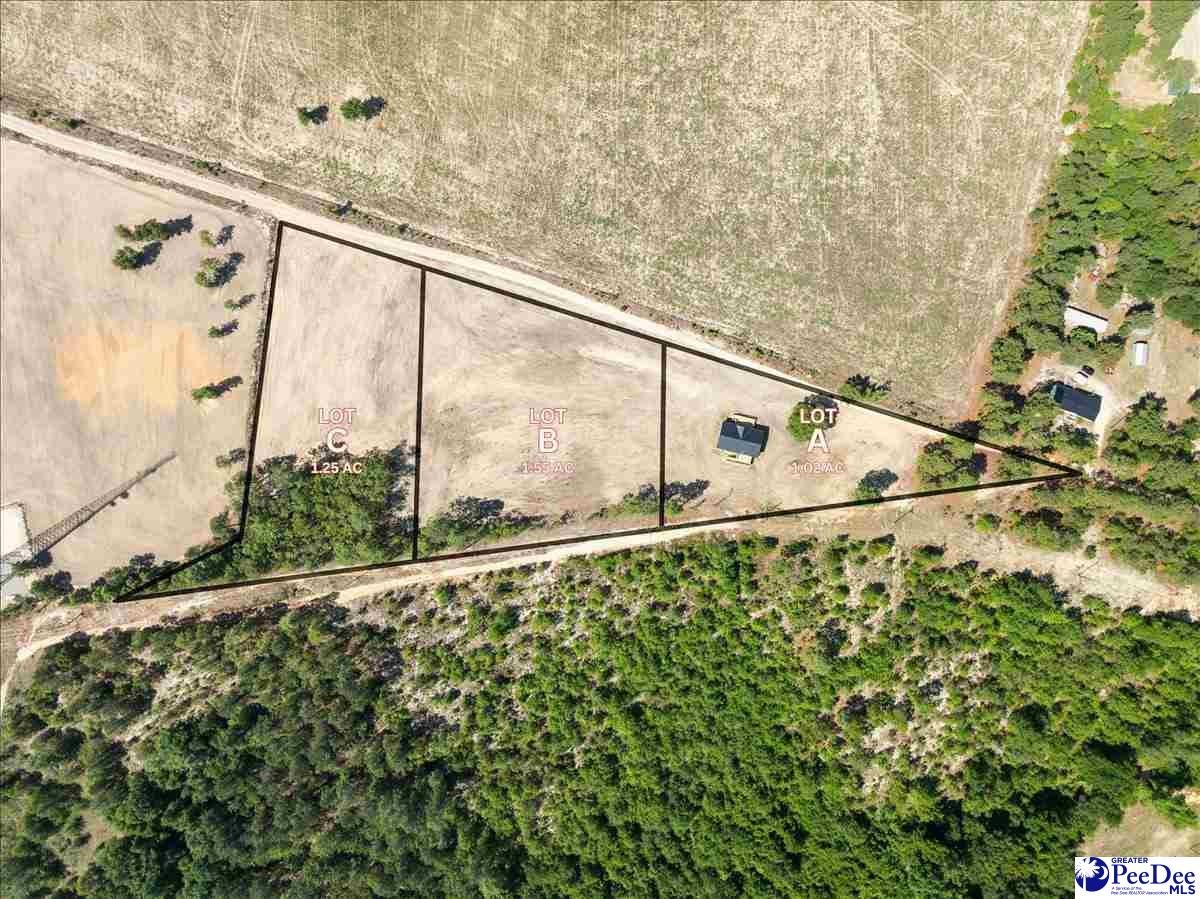 Lot C Bailey Sawmill Road Ruby, SC 29741 - Photo 1 of 4 Gallery Image 1