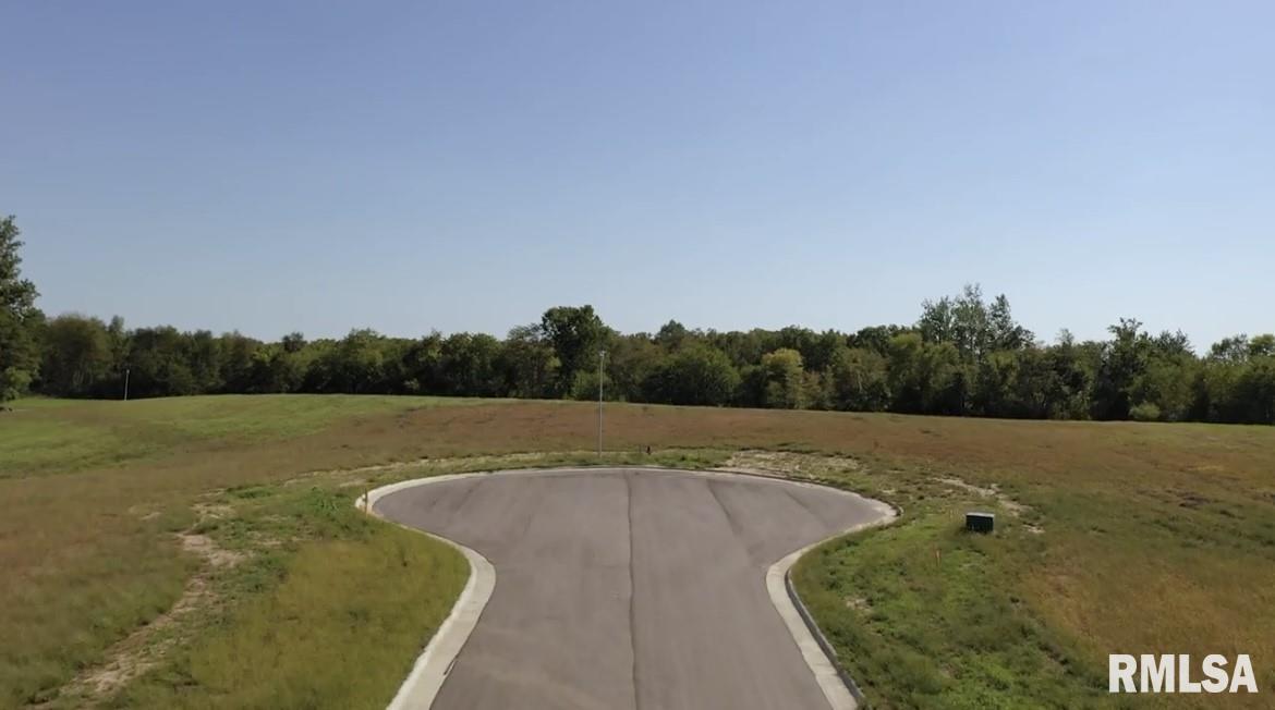 305 Silver Creek Road De Witt, IA 52742 - Photo 7 of 7 a view of a swimming pool and a yard