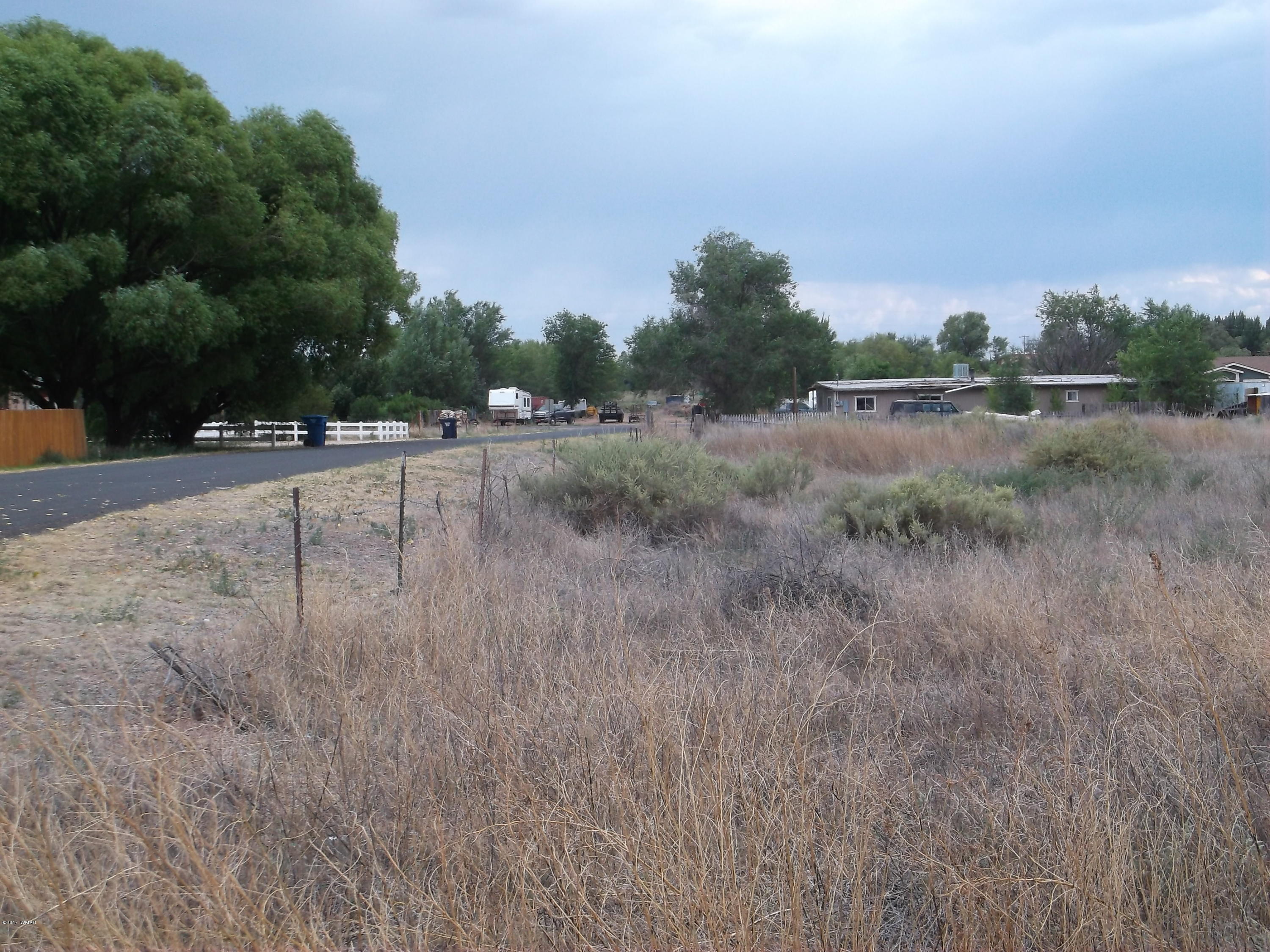 21b Sec 20 T13n R28e St. Johns, AZ 85936 - Photo 2 of 8