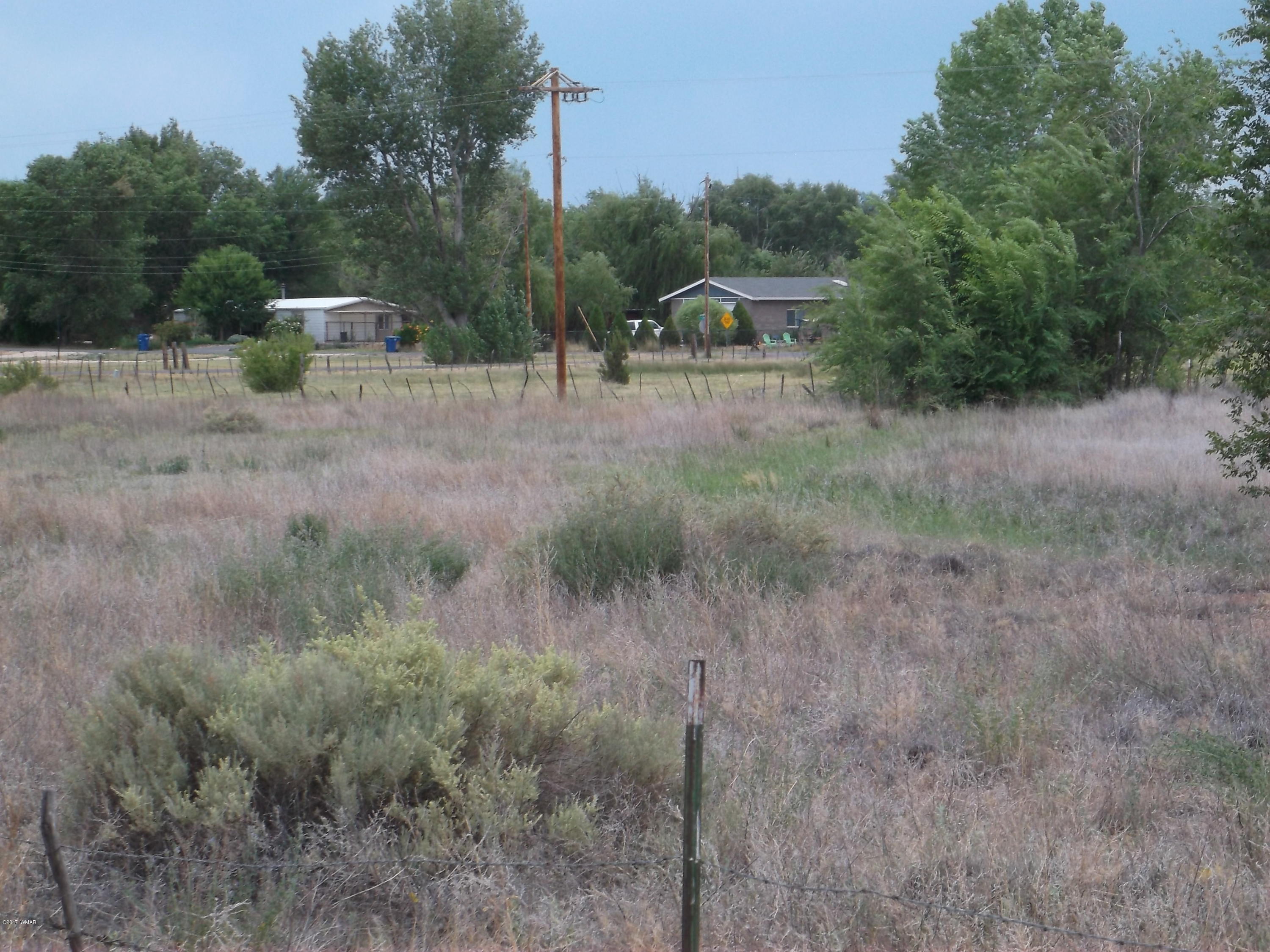 21b Sec 20 T13n R28e St. Johns, AZ 85936 - Photo 4 of 8