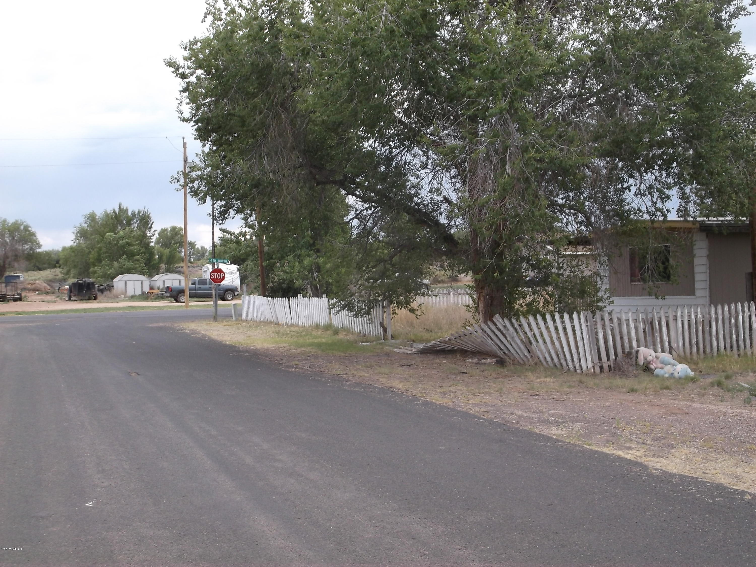 21b Sec 20 T13n R28e St. Johns, AZ 85936 - Photo 6 of 8