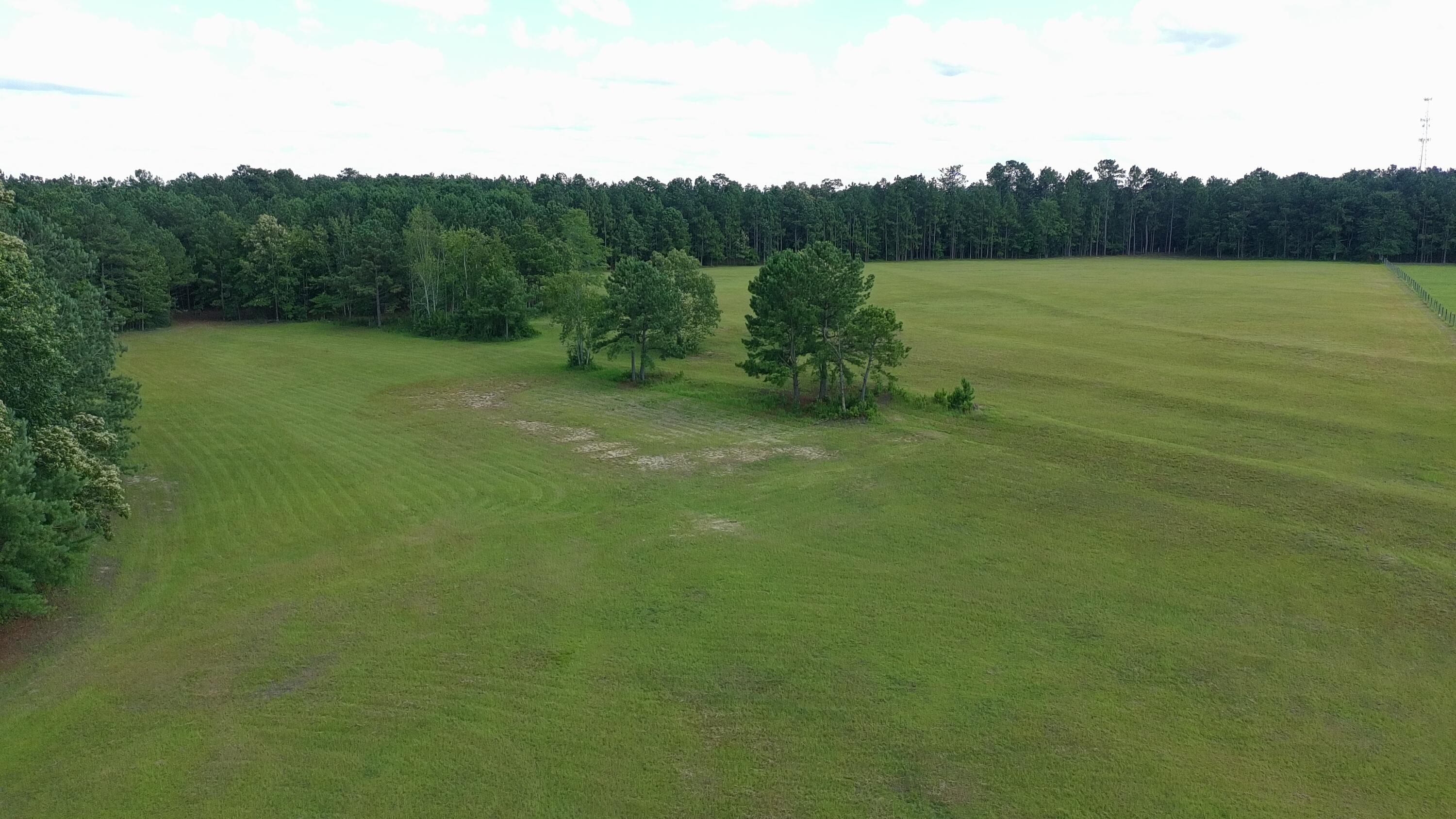 41-acres Whiskey Road Aiken, SC 29803 - Photo 17 of 44