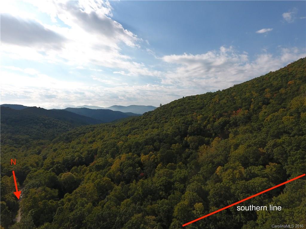 938 Long Branch Road Swannanoa, NC 28778 - Photo 12 of 17 Gallery Image 12