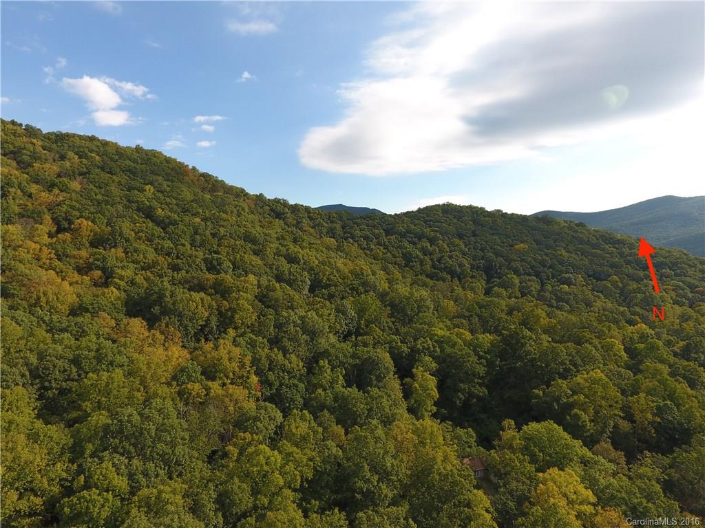 938 Long Branch Road Swannanoa, NC 28778 - Photo 13 of 17 Gallery Image 13
