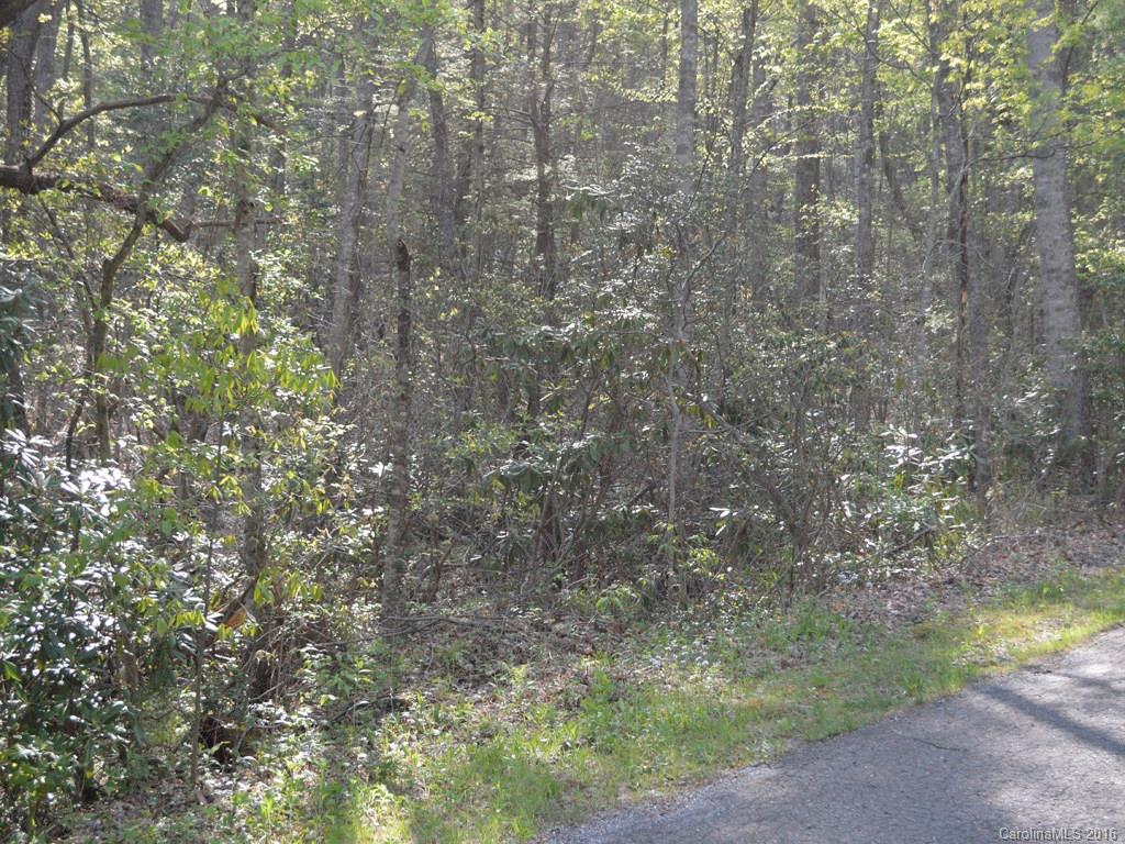 938 Long Branch Road Swannanoa, NC 28778 - Photo 3 of 17 Gallery Image 3