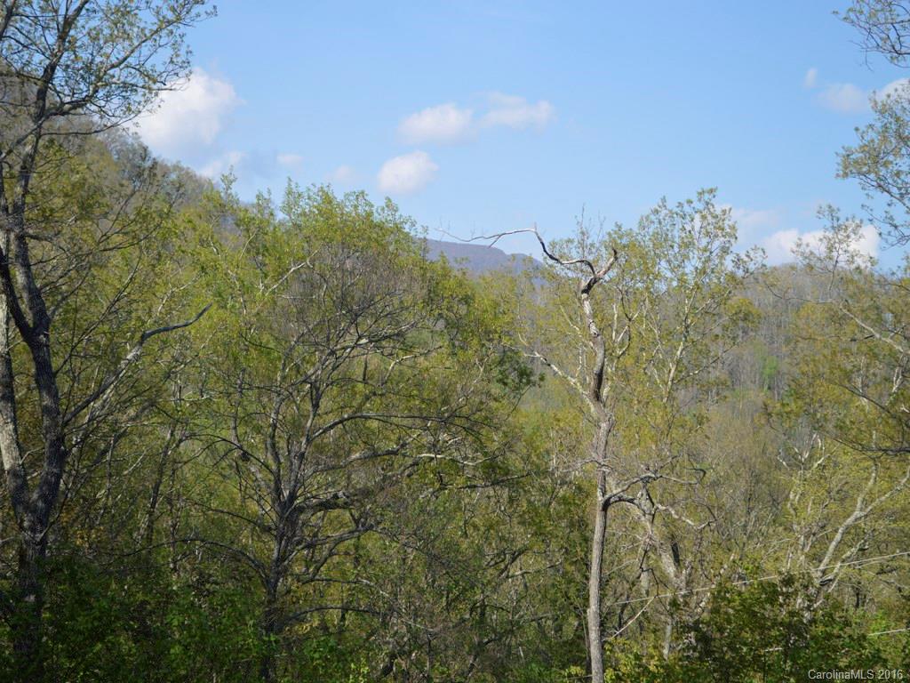 938 Long Branch Road Swannanoa, NC 28778 - Photo 4 of 17 Gallery Image 4