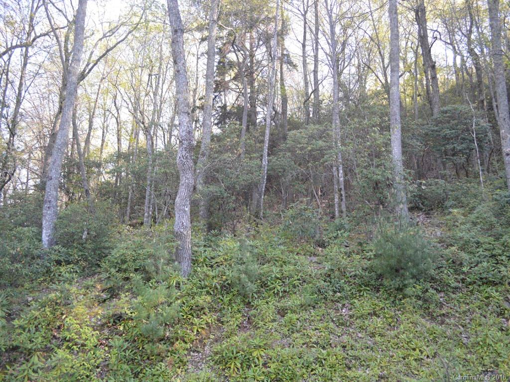 938 Long Branch Road Swannanoa, NC 28778 - Photo 5 of 17 Gallery Image 5
