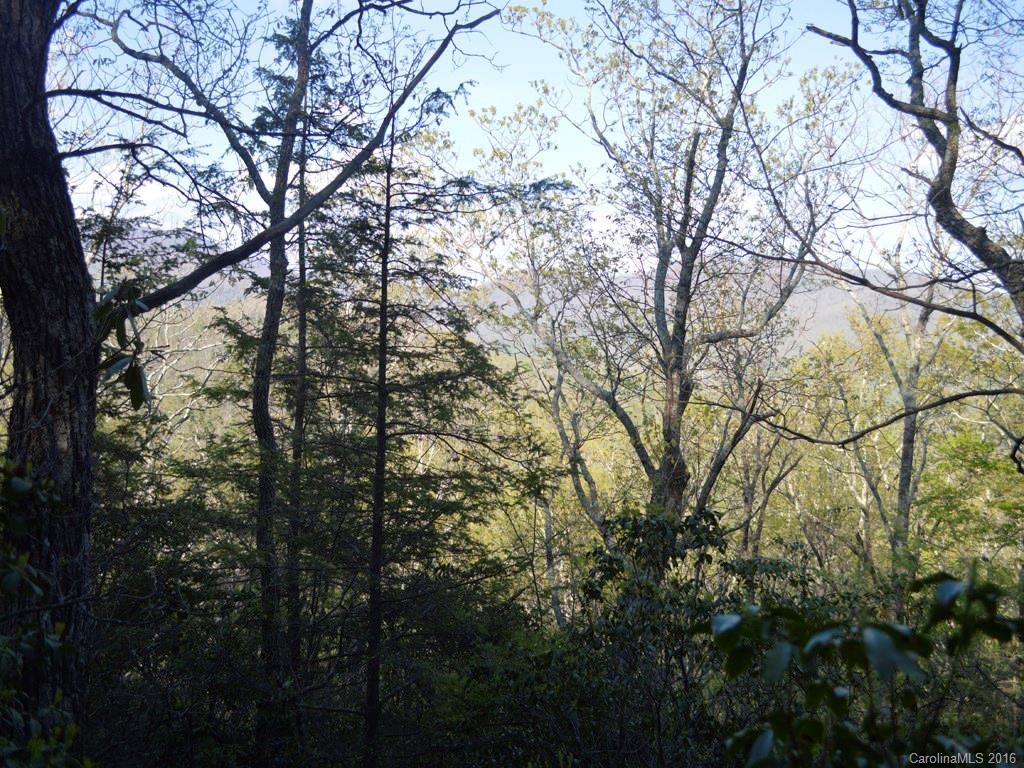 938 Long Branch Road Swannanoa, NC 28778 - Photo 8 of 17 Gallery Image 8