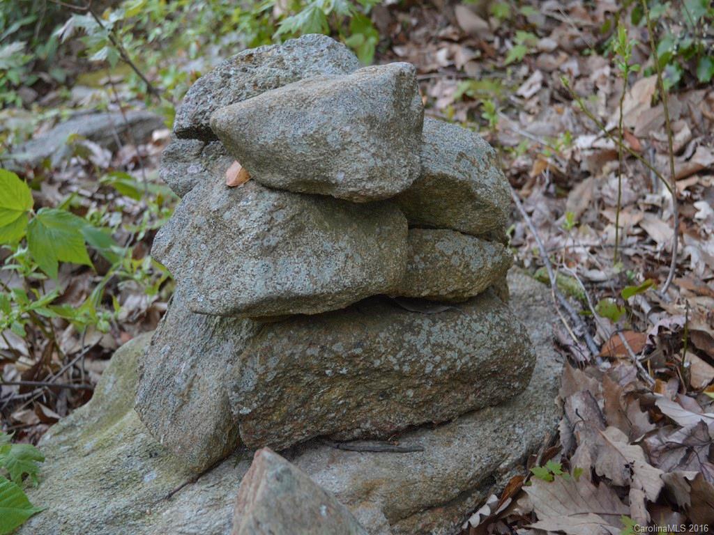938 Long Branch Road Swannanoa, NC 28778 - Photo 10 of 17 Gallery Image 10