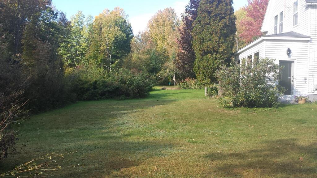 325 Goding Road Livermore, ME 04253 - Photo 3 of 35 Plenty of room for play and work -...