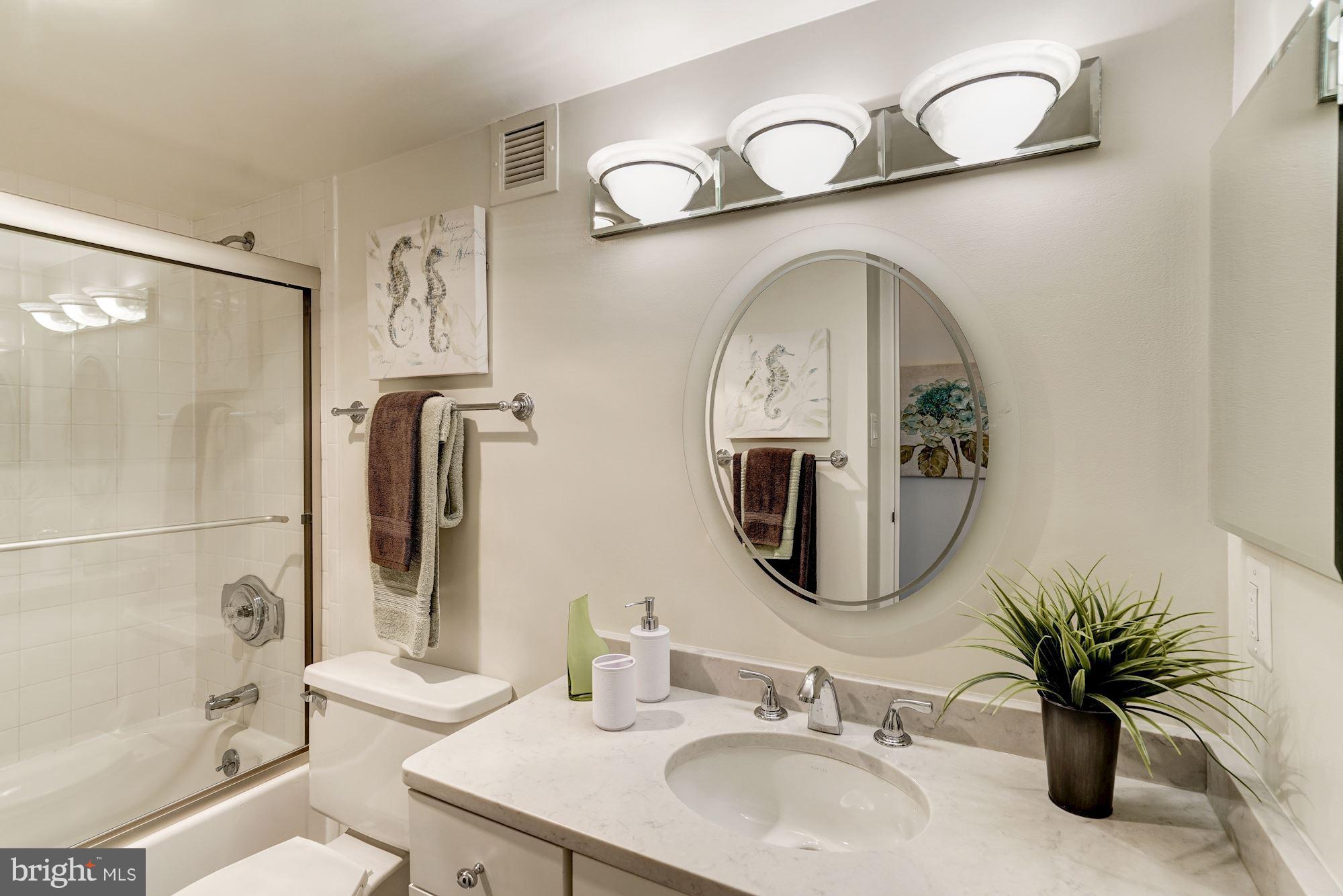 6800 Fleetwood Road, Unit 610 McLean, VA 22101 - Photo 18 of 26 a bathroom with a sink and a mirror