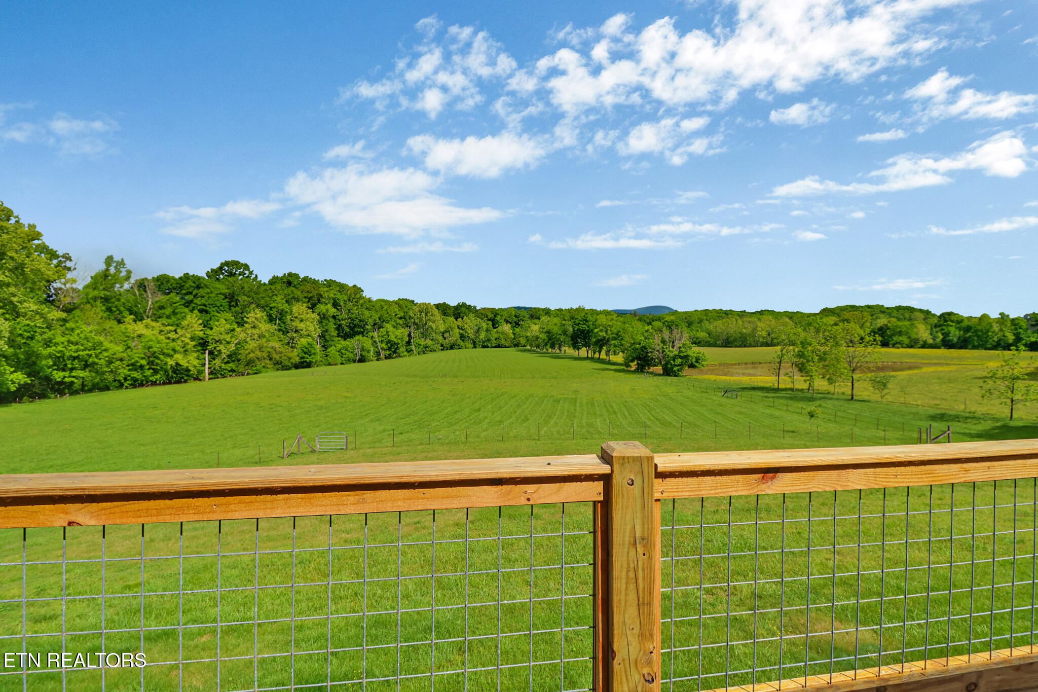 871 Poplar Creek Road Oliver Springs, TN 37840 - Photo 40 of 54 44