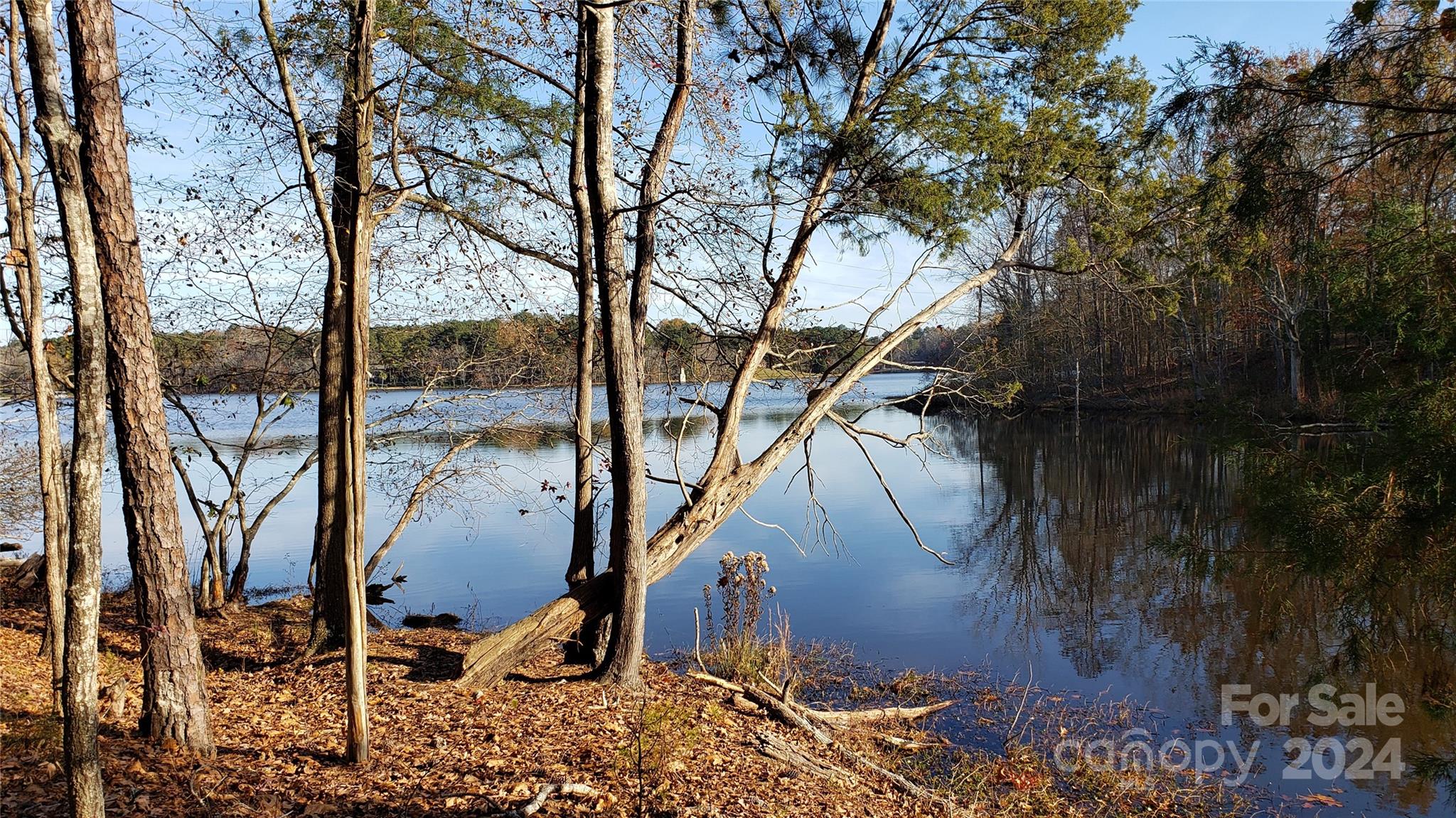 1460 Carlisle White Road Chester, SC 29706 - Photo 1 of 23 Gallery Image 1