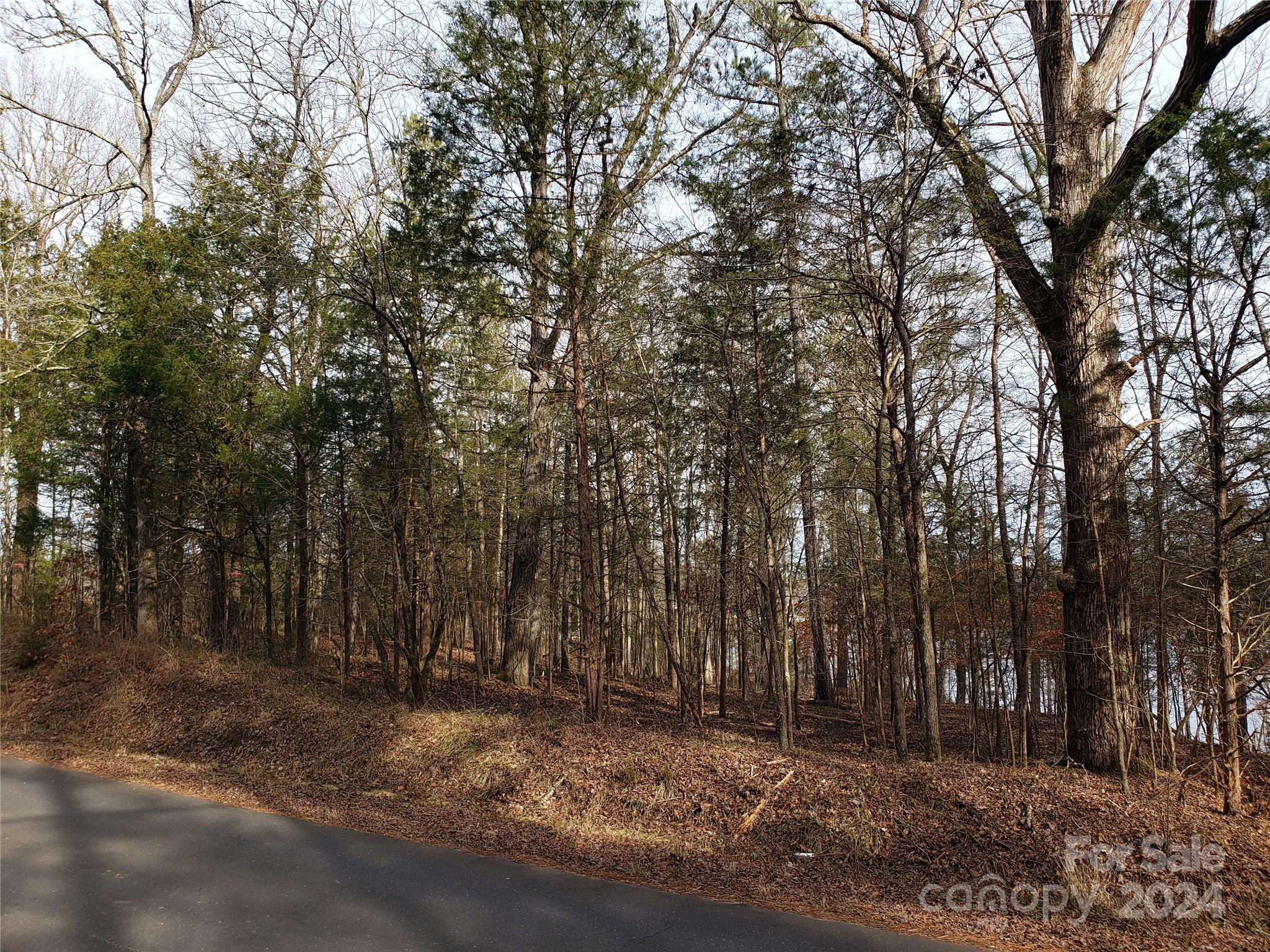 1460 Carlisle White Road Chester, SC 29706 - Photo 15 of 23 Gallery Image 15