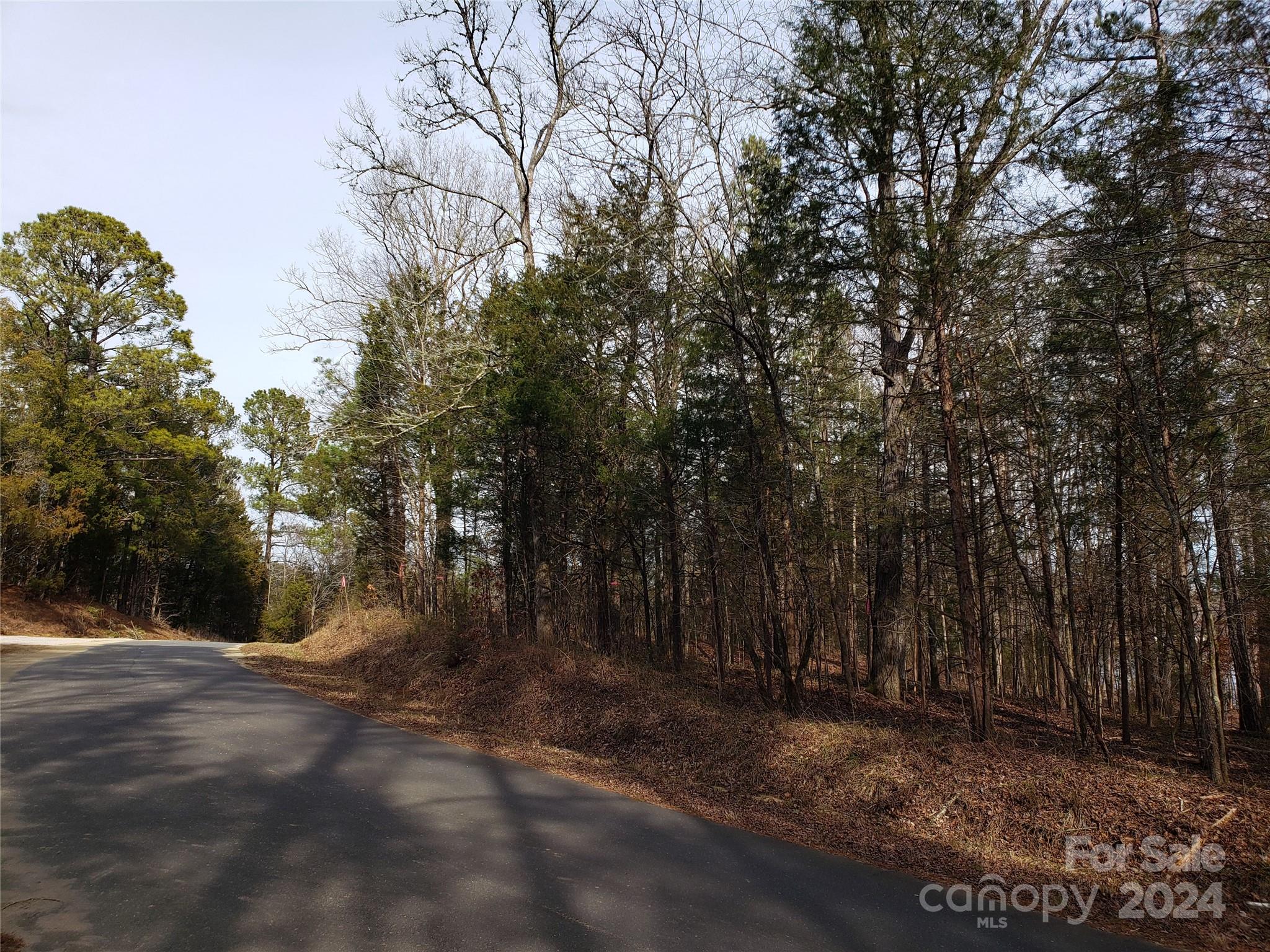 1460 Carlisle White Road Chester, SC 29706 - Photo 16 of 23 Gallery Image 16