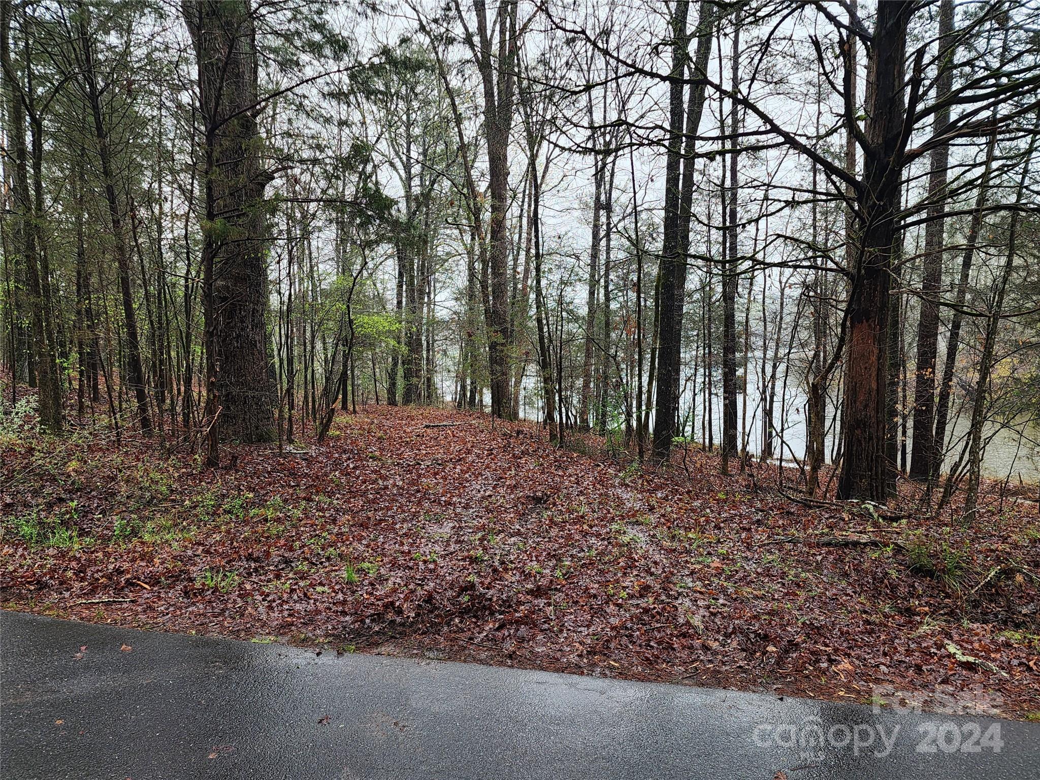 1460 Carlisle White Road Chester, SC 29706 - Photo 19 of 23 Gallery Image 19