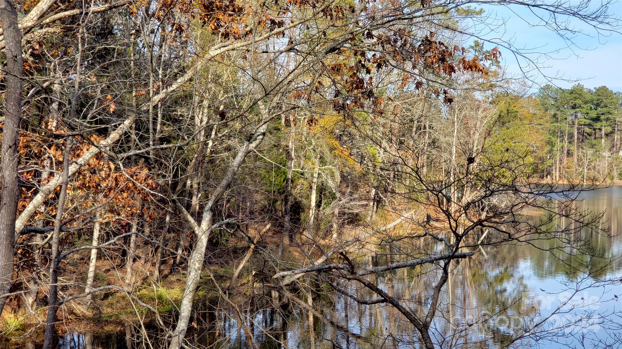 1460 Carlisle White Road Chester, SC 29706 - Photo 2 of 23 Gallery Image 2