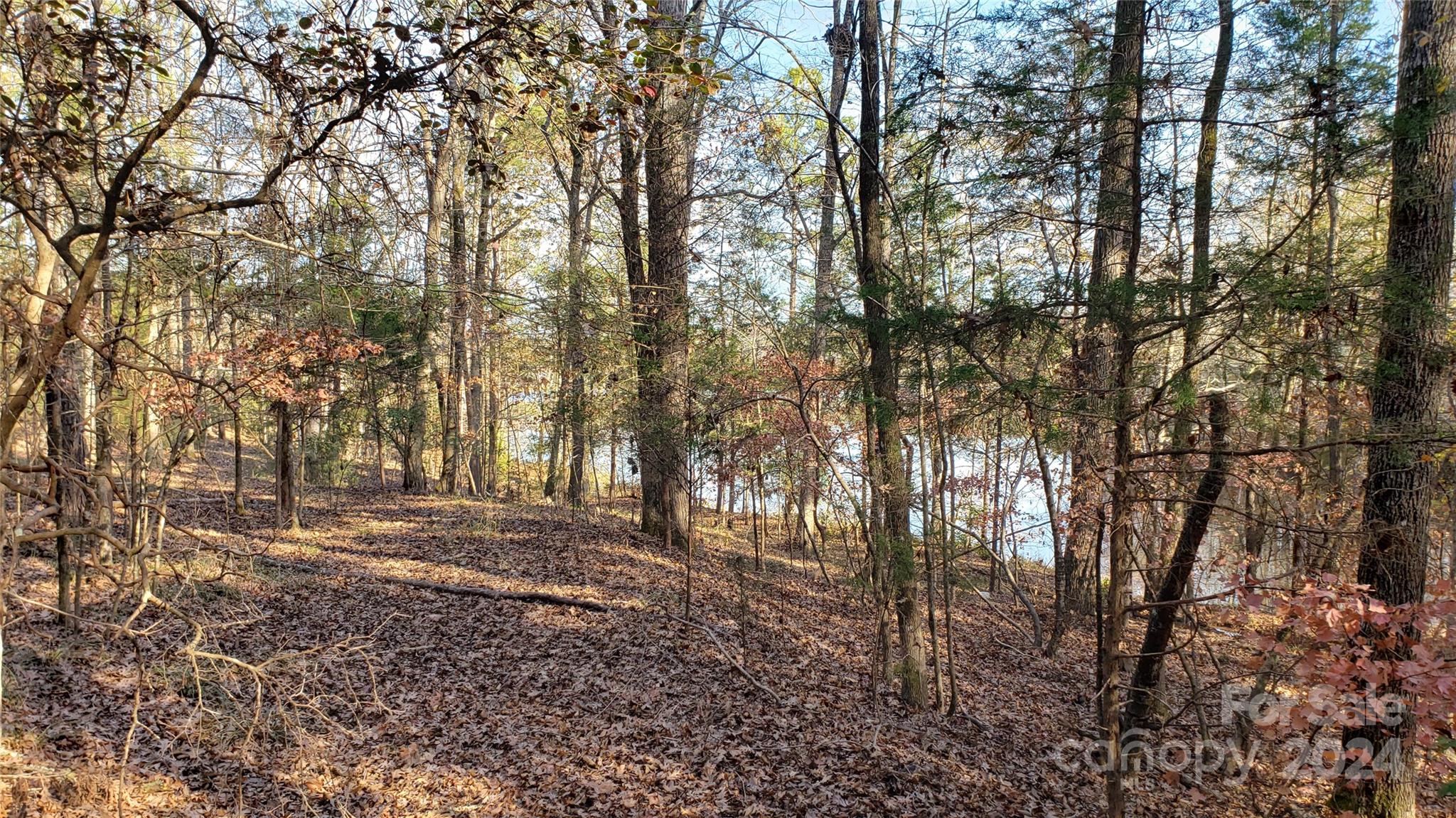 1460 Carlisle White Road Chester, SC 29706 - Photo 3 of 23 Gallery Image 3