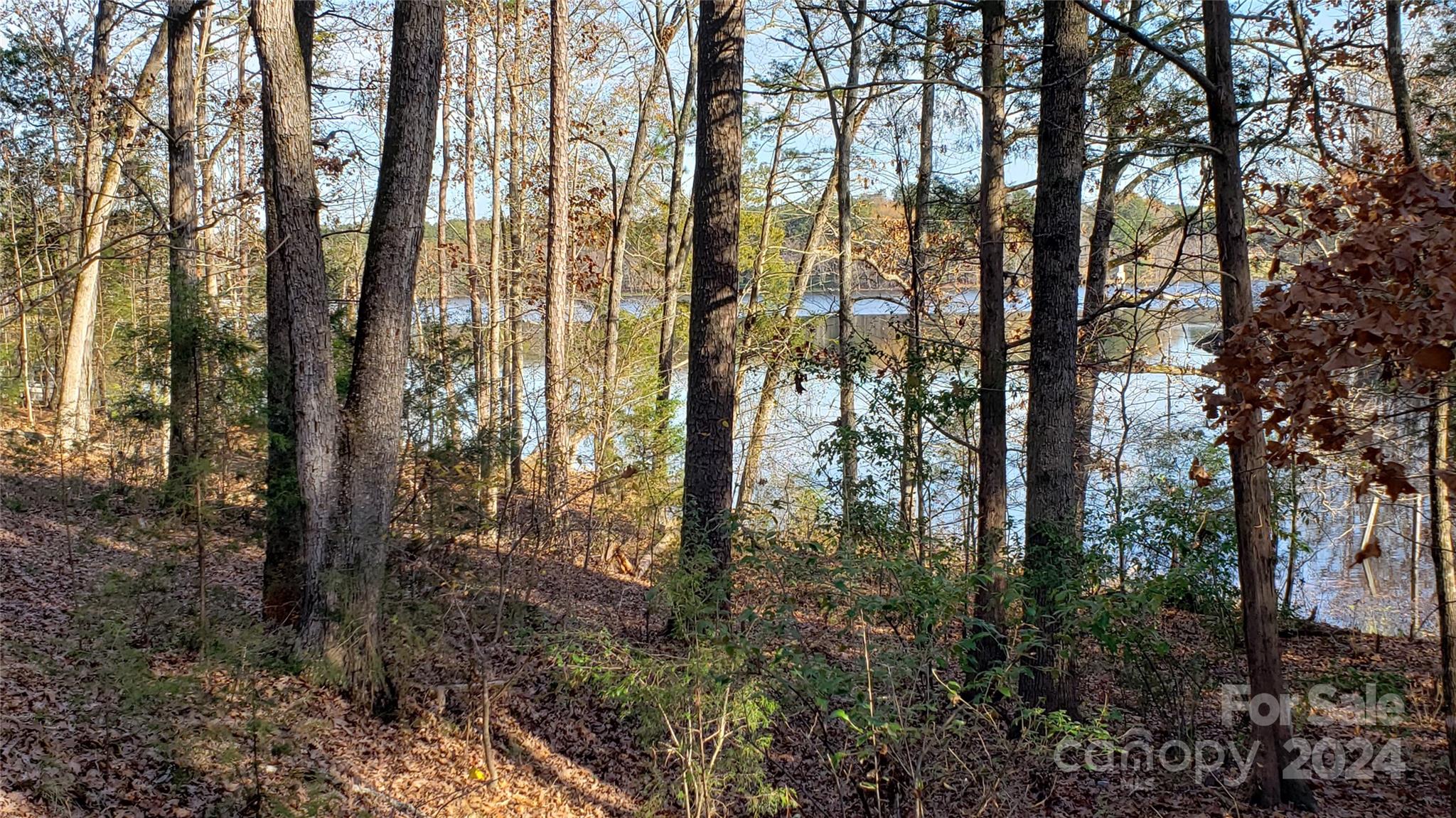 1460 Carlisle White Road Chester, SC 29706 - Photo 5 of 23 Gallery Image 5