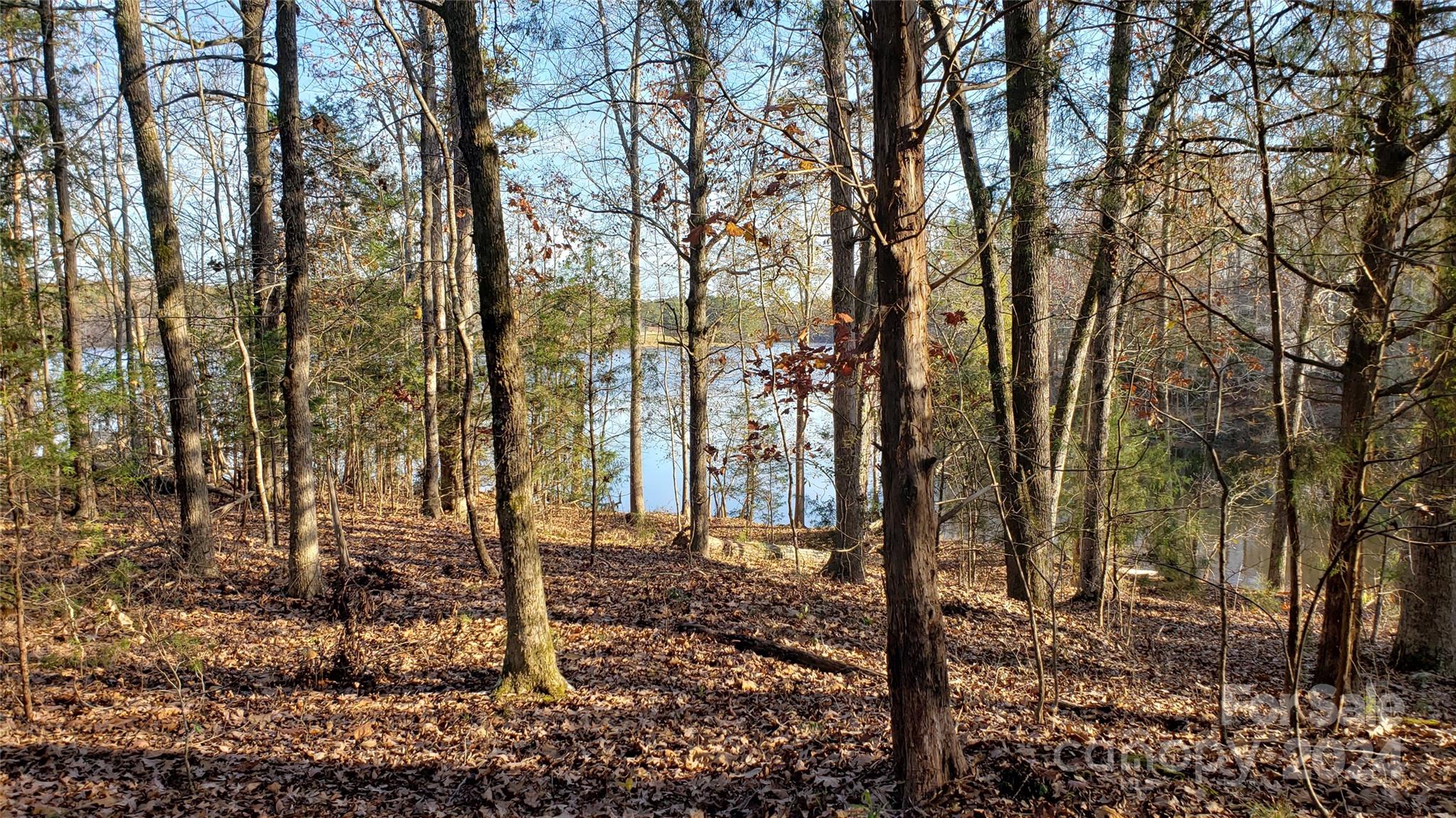 1460 Carlisle White Road Chester, SC 29706 - Photo 6 of 23 Gallery Image 6