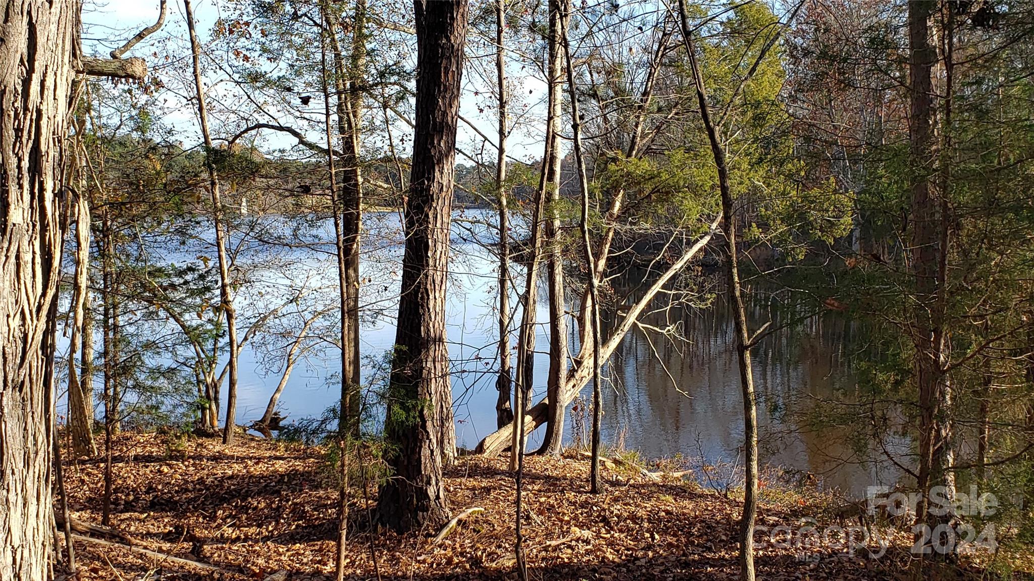 1460 Carlisle White Road Chester, SC 29706 - Photo 7 of 23 Gallery Image 7