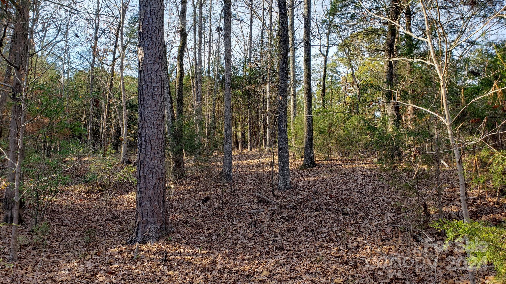 1460 Carlisle White Road Chester, SC 29706 - Photo 9 of 23 Gallery Image 9