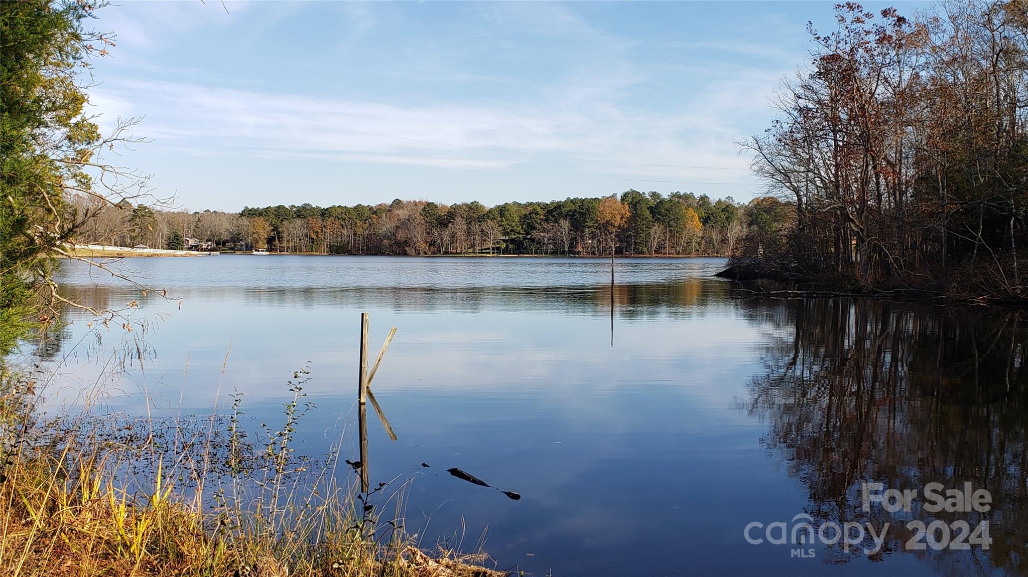 1460 Carlisle White Road Chester, SC 29706 - Photo 10 of 23 Gallery Image 10