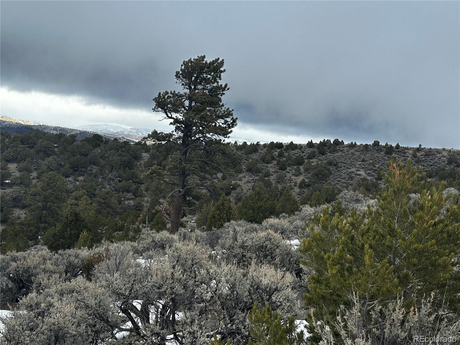 4920 Jaffe Road Fort Garland, CO 81133 - Photo 13 of 18 Gallery Image 13