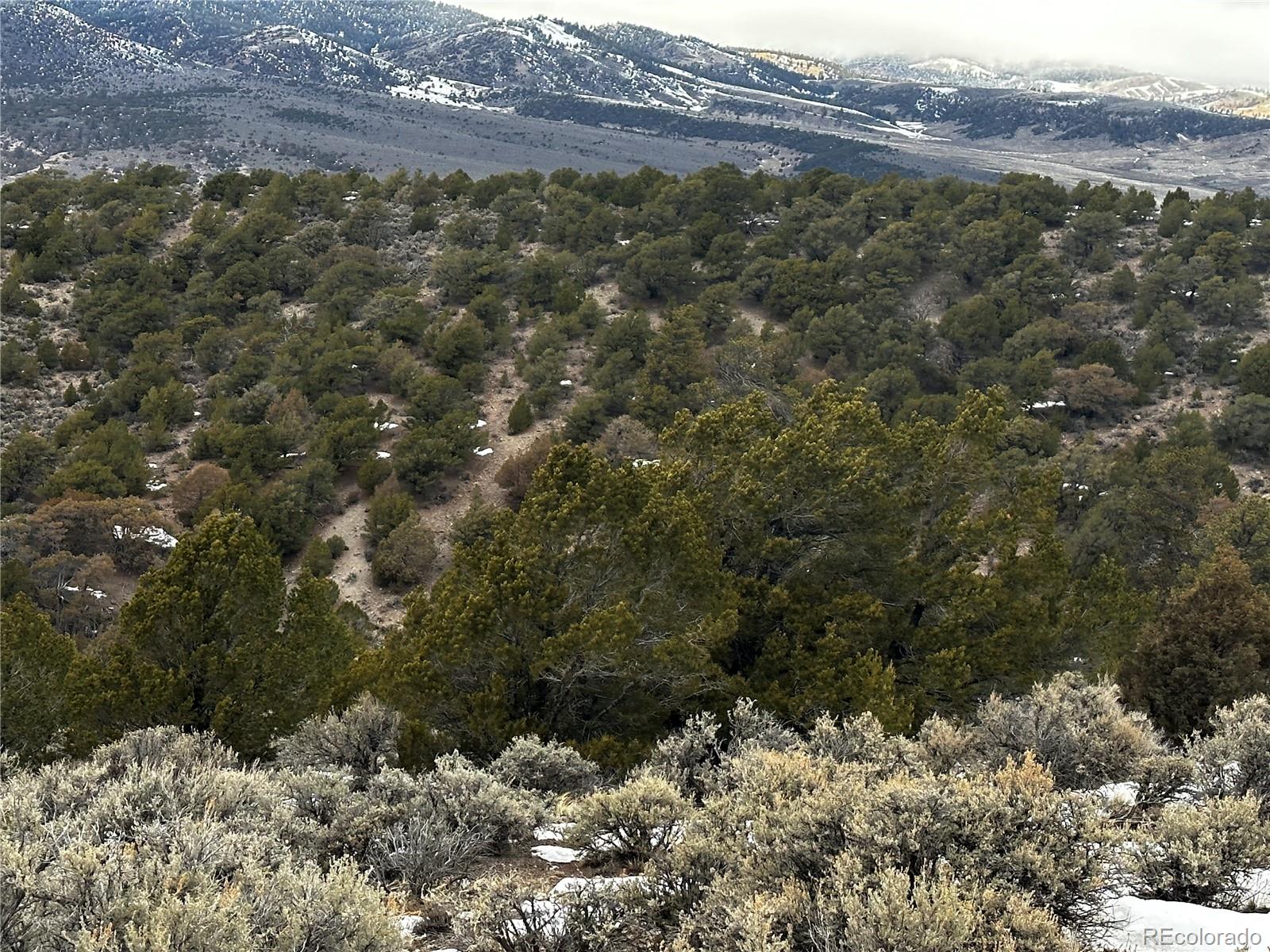 4920 Jaffe Road Fort Garland, CO 81133 - Photo 10 of 18 Gallery Image 10