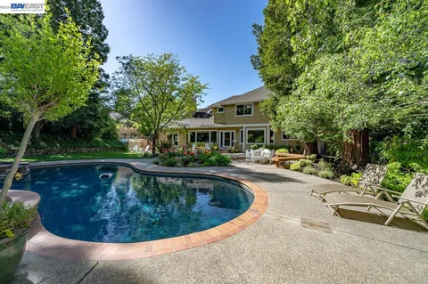 a aerial view of a house with a yard plants and large tree