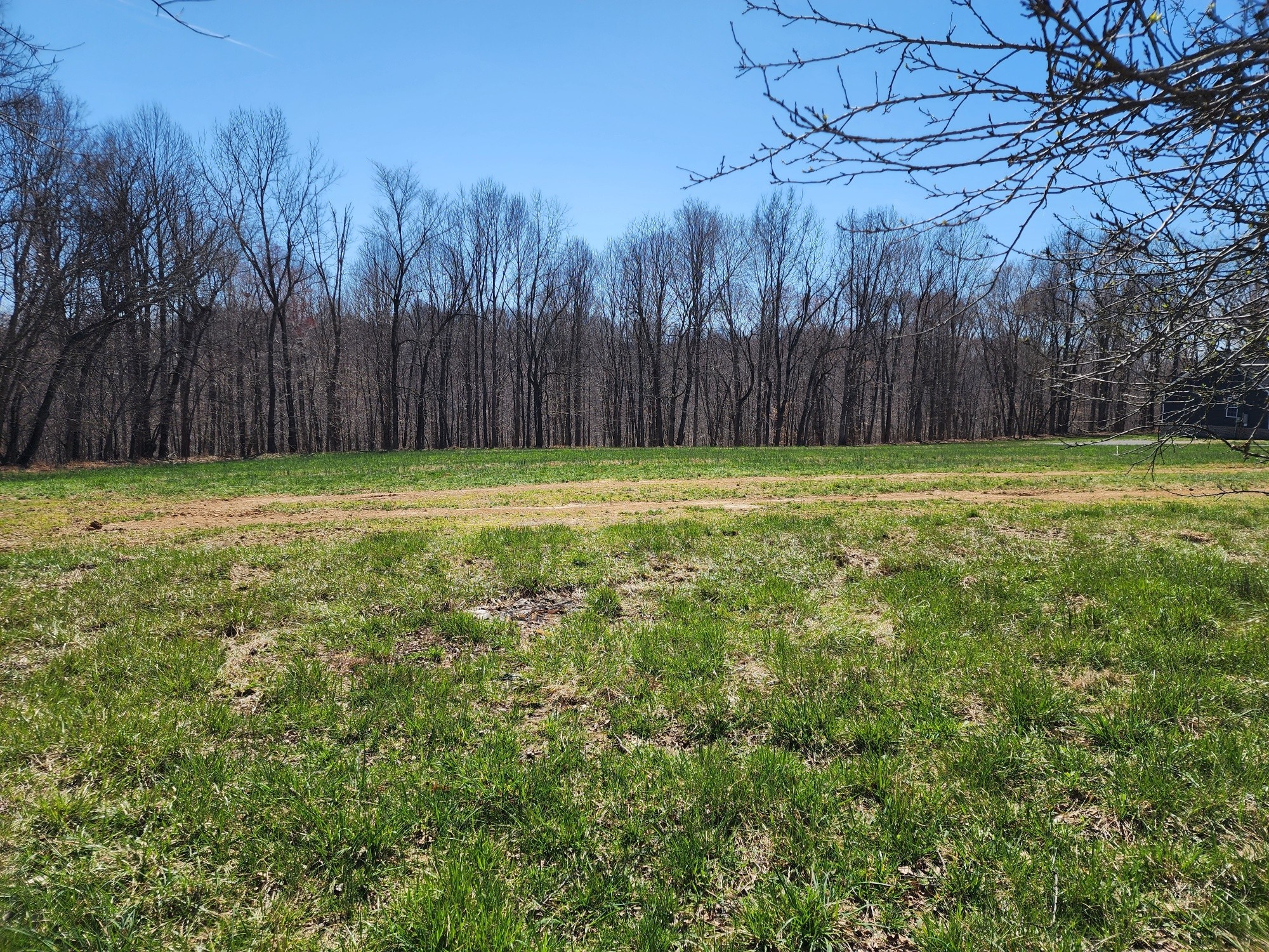 1761 Shiloh Road Lafayette, TN 37083 - Photo 6 of 26 Gallery Image 6