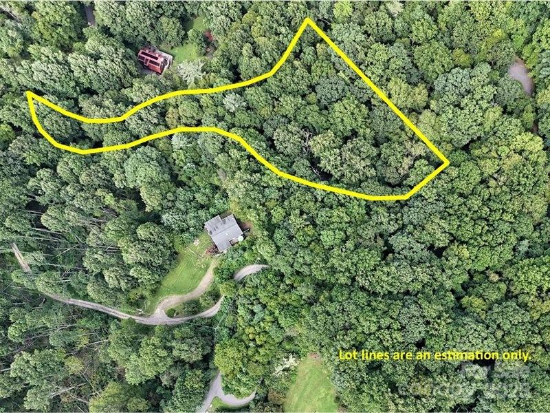 0 Rules Run Road Clyde, NC 28721 - Photo 1 of 6 a view of a plant in a garden