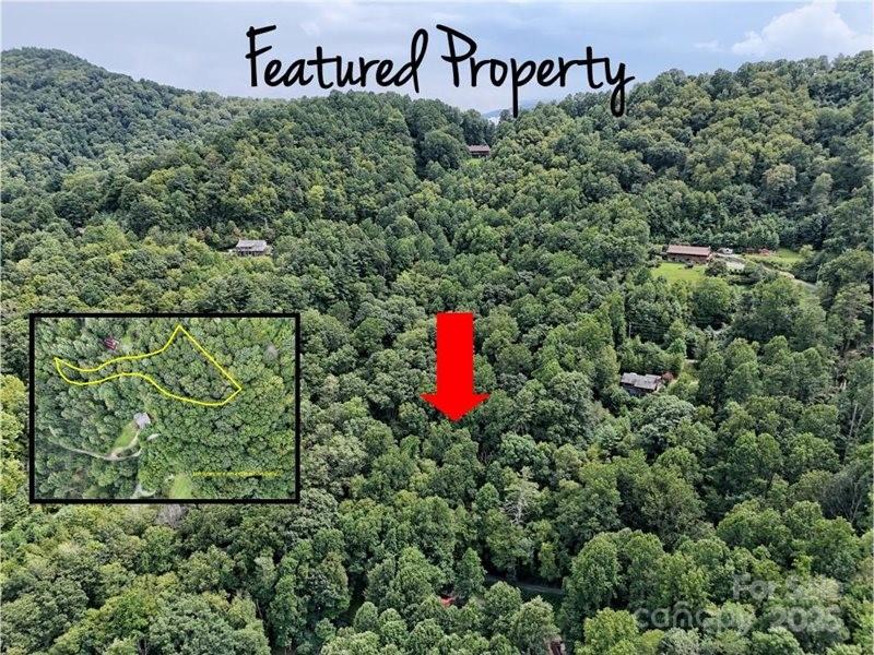 0 Rules Run Road Clyde, NC 28721 - Photo 2 of 6 a view of a sign in a park