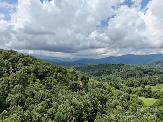 a view of a bunch of trees