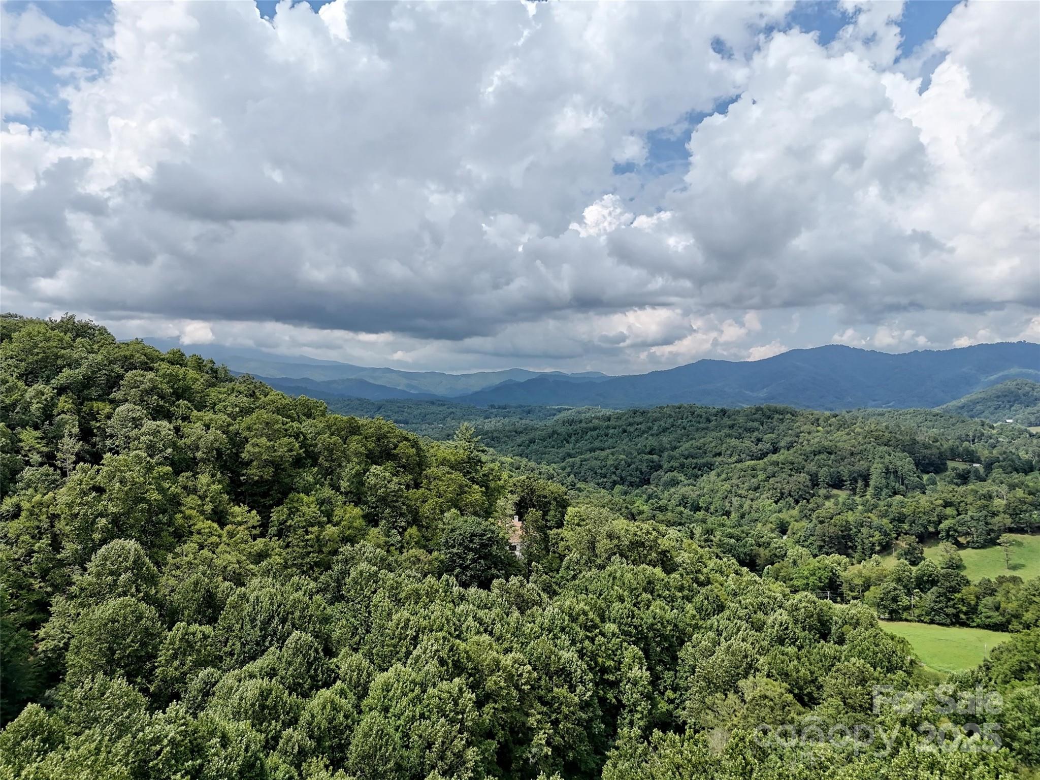 0 Rules Run Road Clyde, NC 28721 - Photo 4 of 6 a view of a bunch of trees